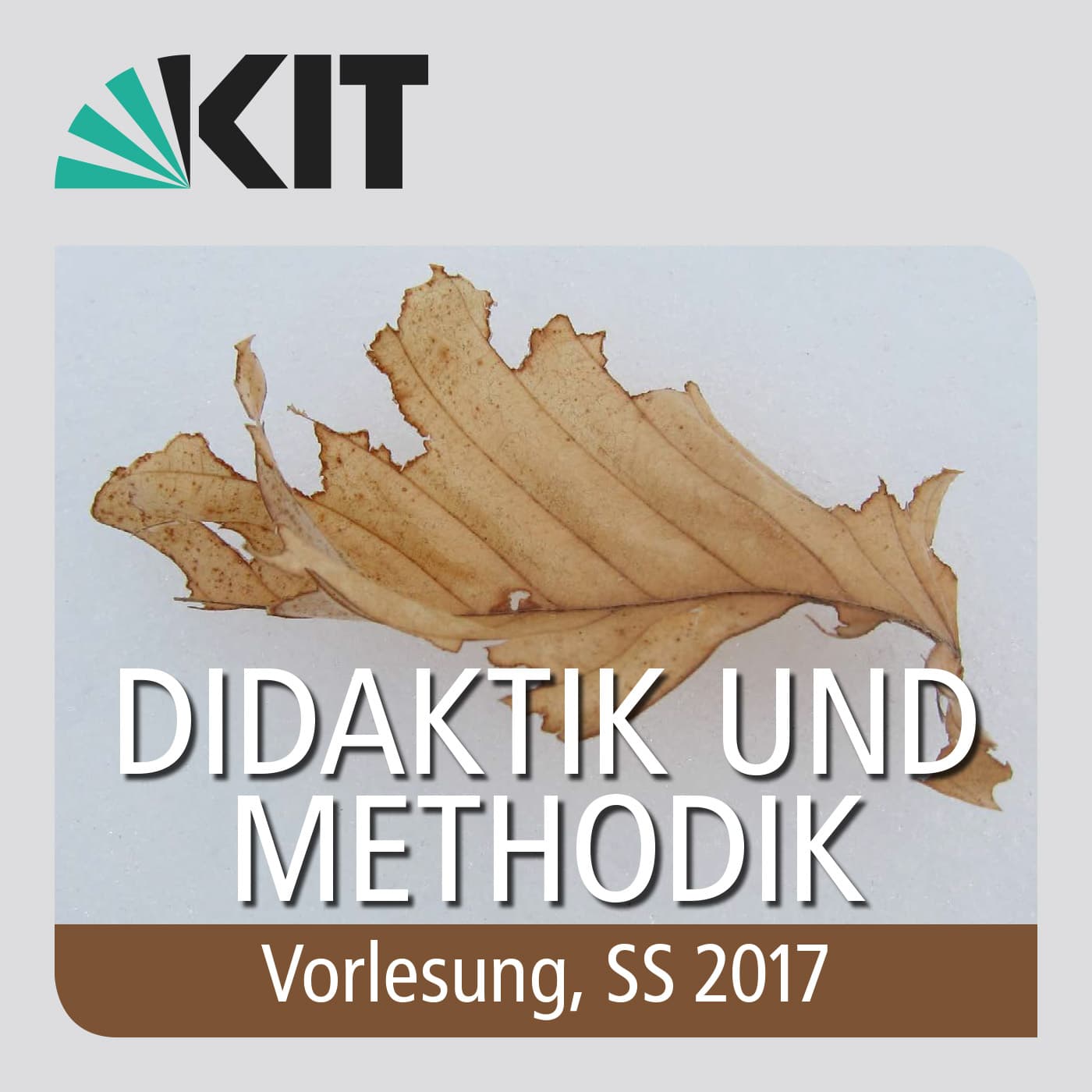 Didaktik und Methodik, SS2017, Vorlesung - Podcasts