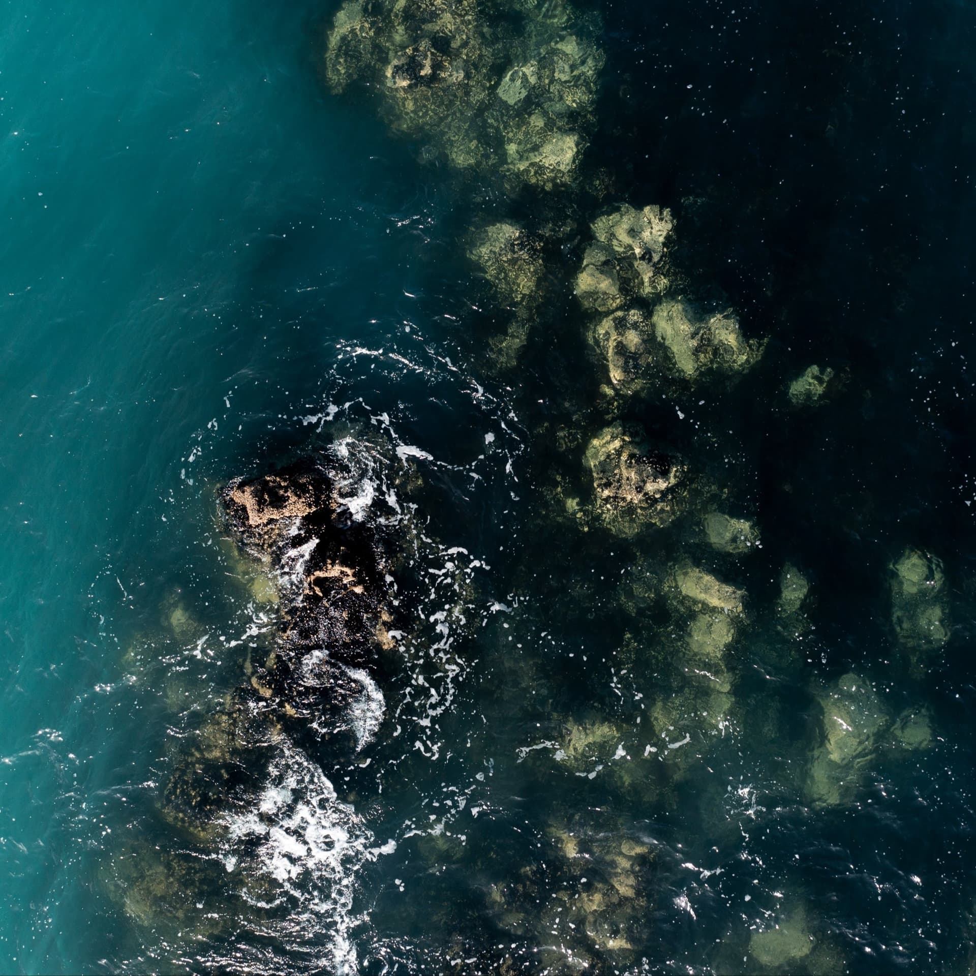 From Sea to Science: Natural Health with Aroma New Zealand - Podcasts