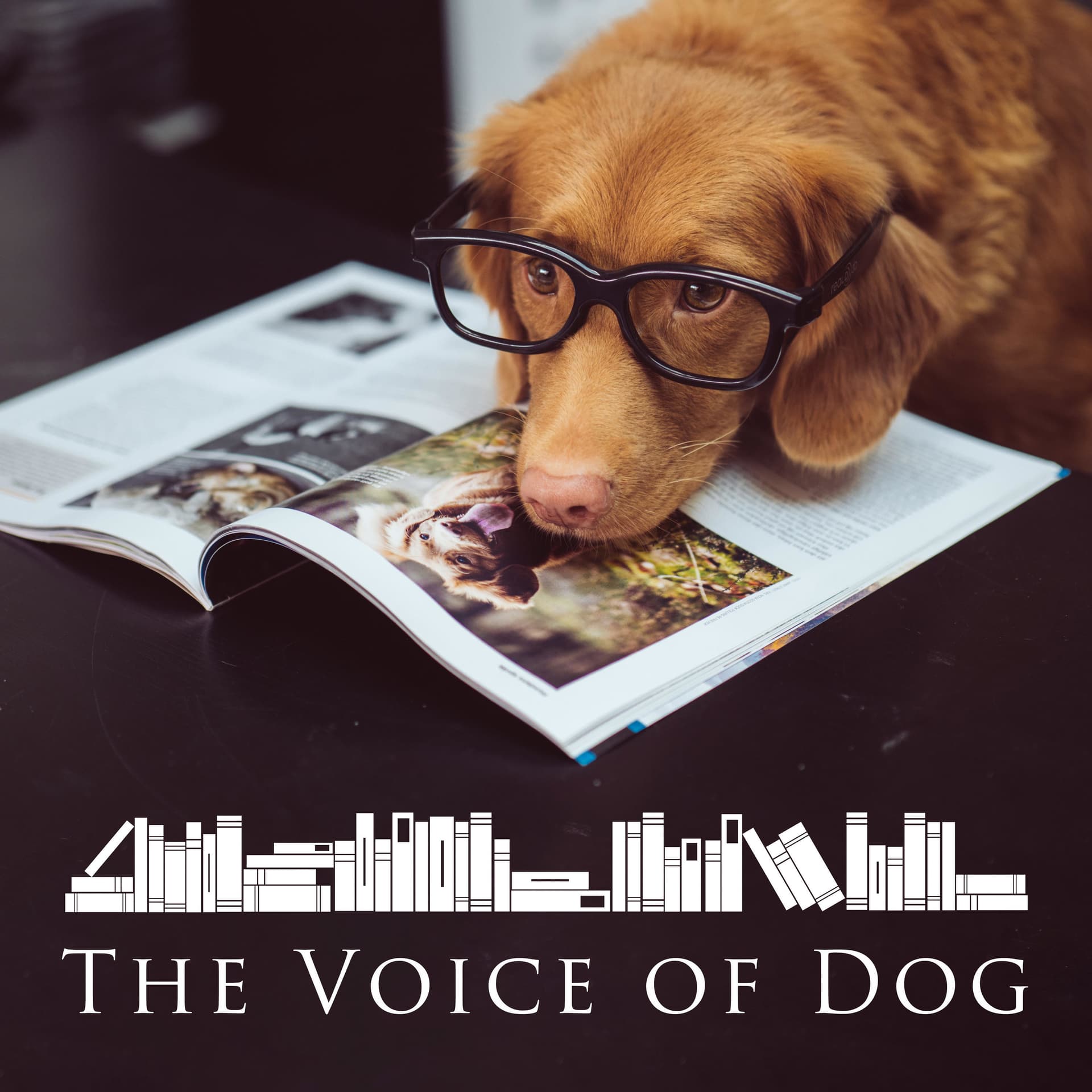 The Voice of Dog - Podcasts