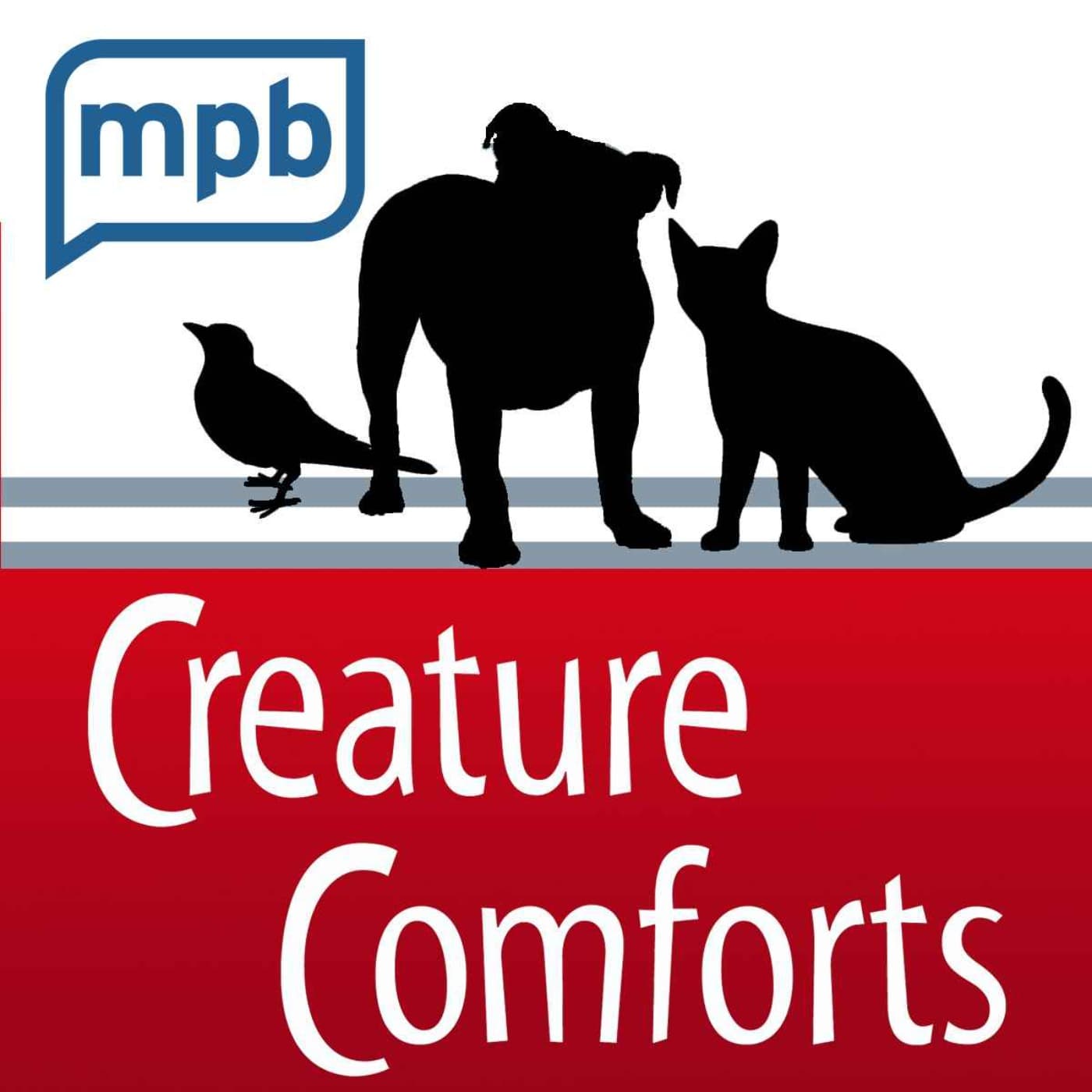 Creature Comforts - Podcasts