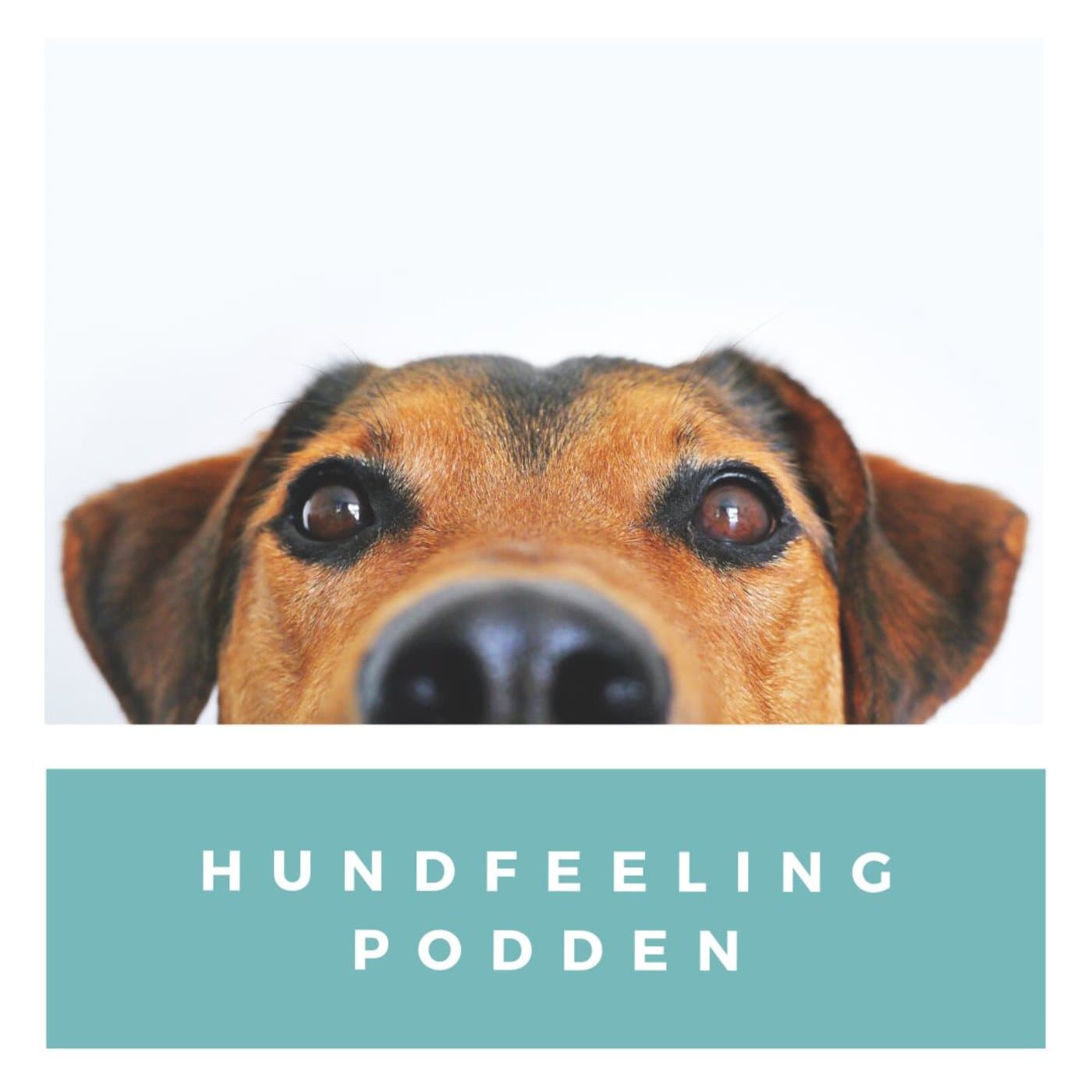 Hundfeelingpodden - Podcasts