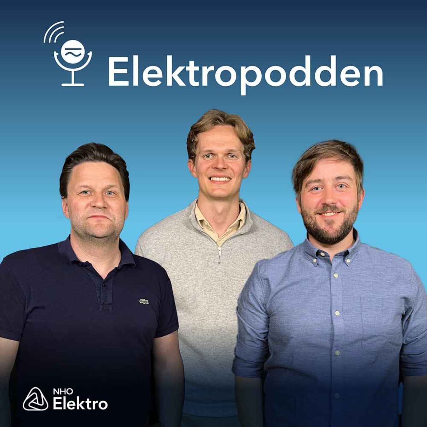 Elektropodden - Podcasts
