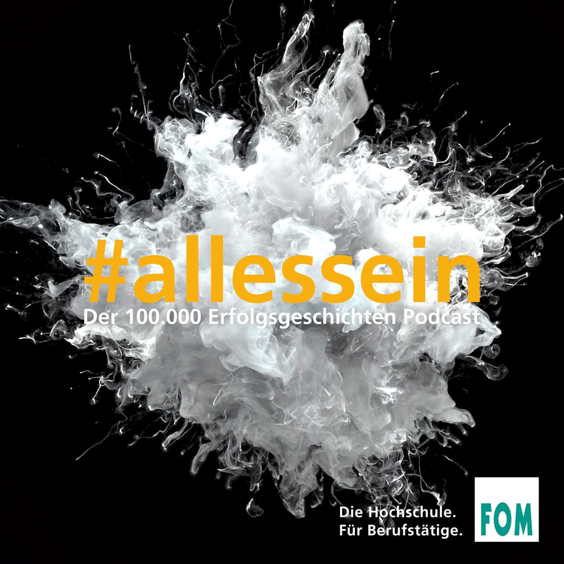 Der 100.000 Erfolgsgeschichten Podcast - Podcasts