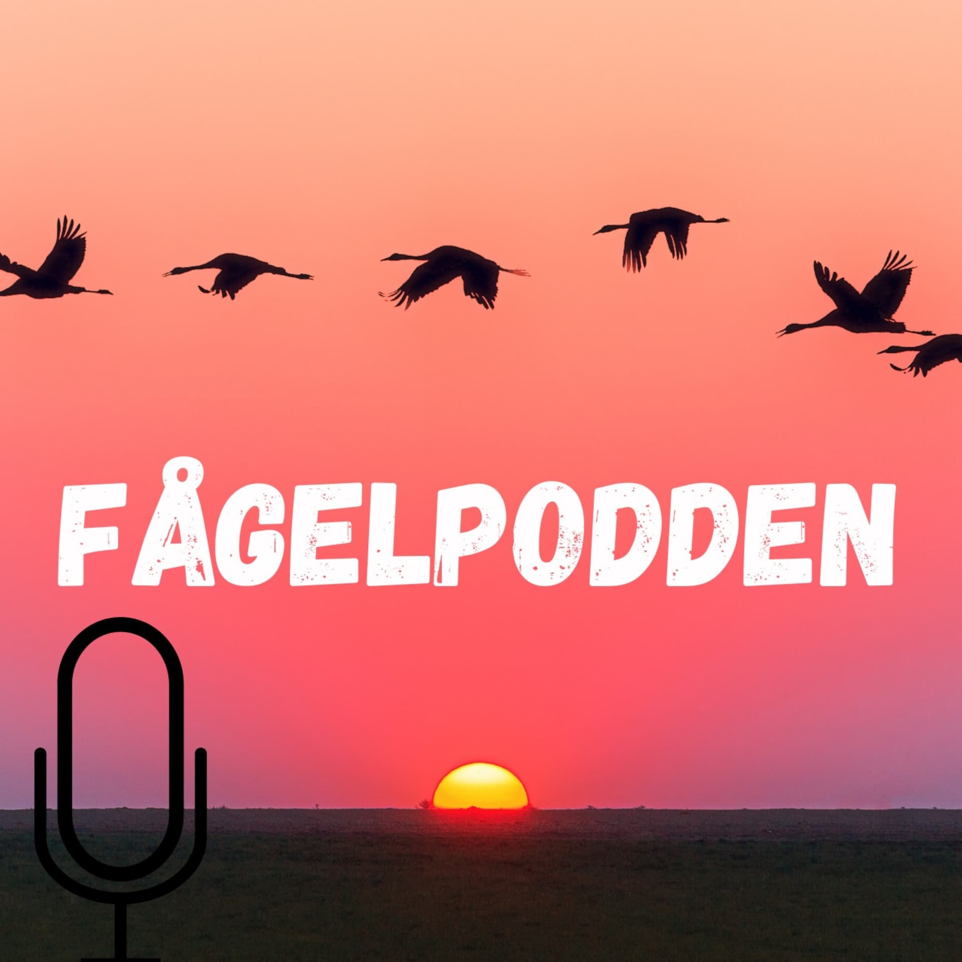 Fågelpodden - Podcasts