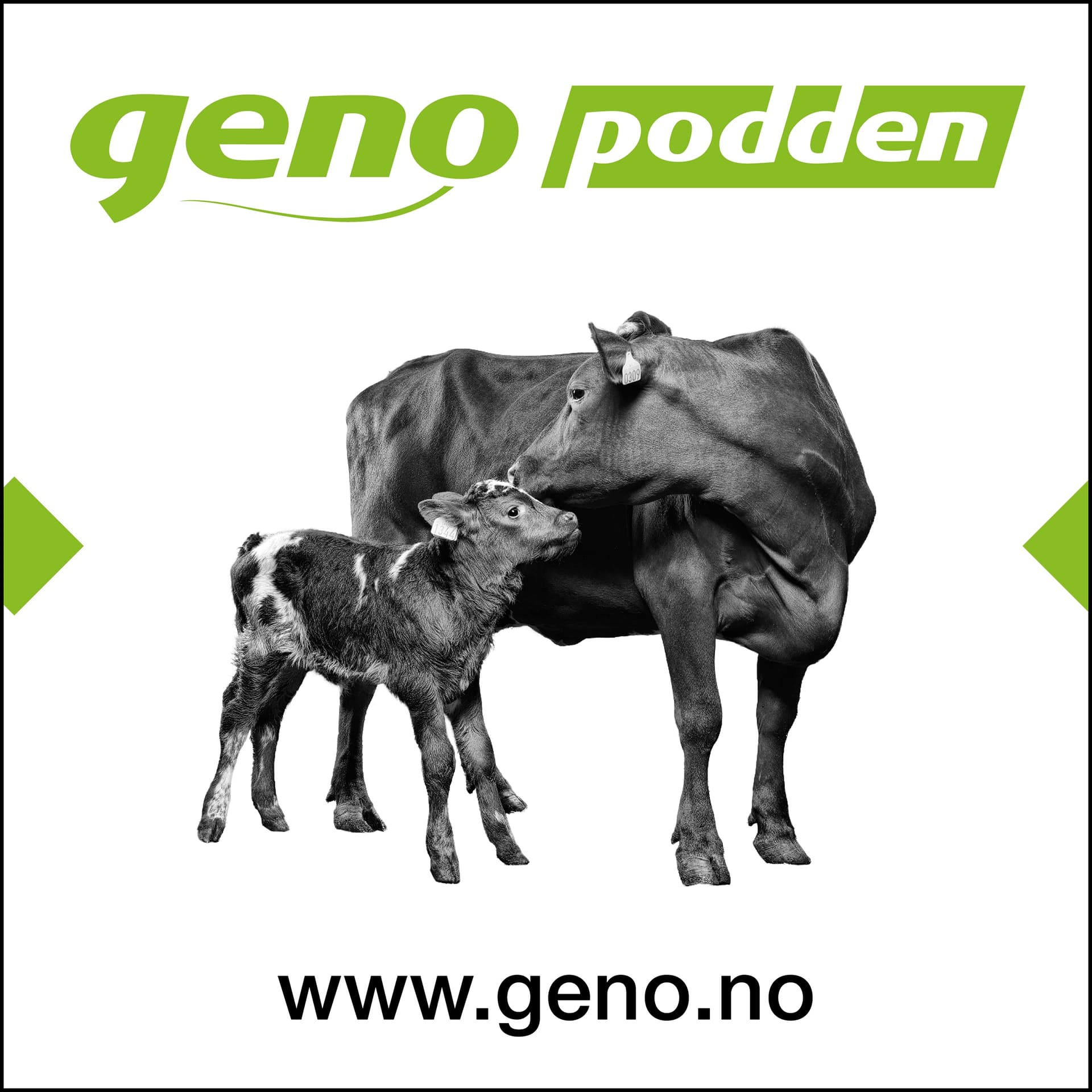 Genopodden - Podcasts