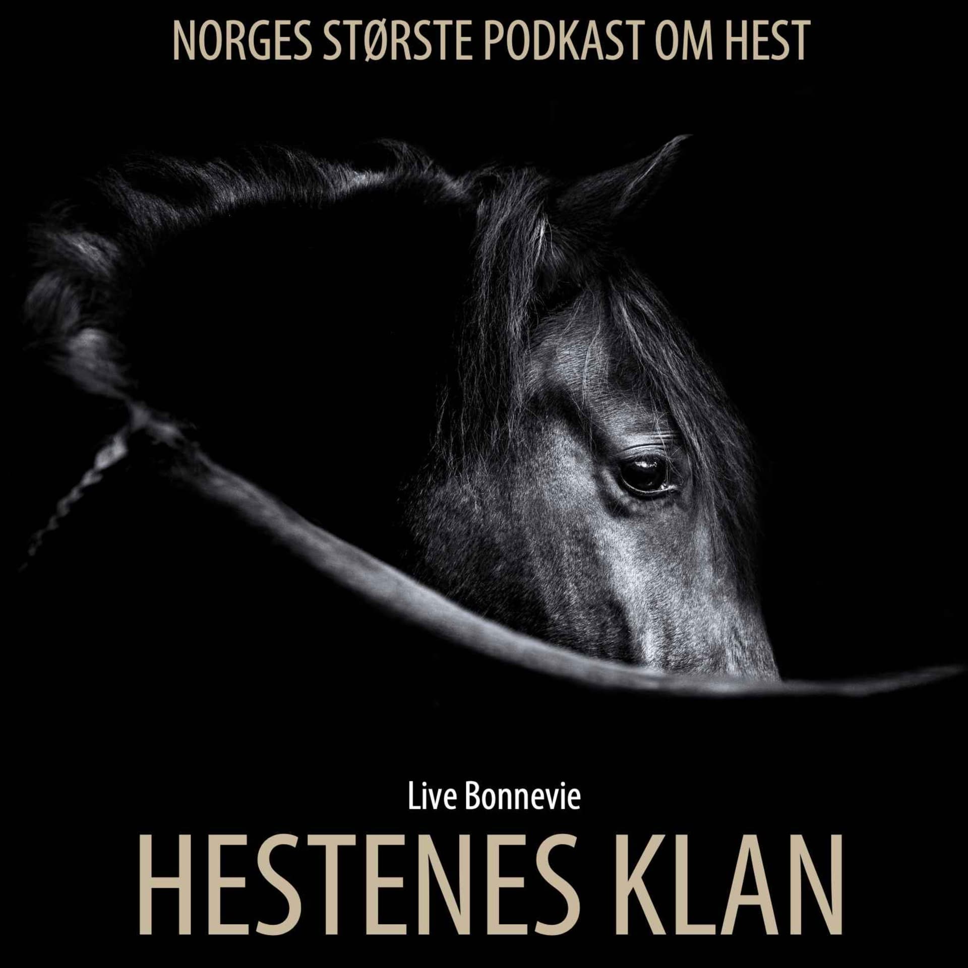 HESTENES KLAN - Podcasts