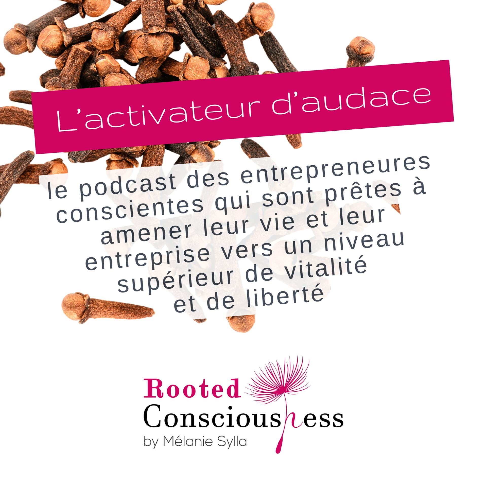 L'Activateur d'audace, par Mélanie Sylla, fondatrice de Rooted Consciousness - Podcasts