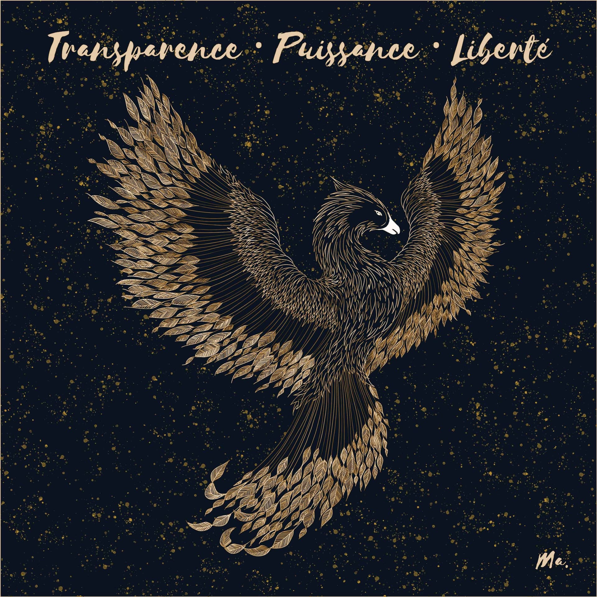 Transparence . Puissance . Liberté - Podcasts