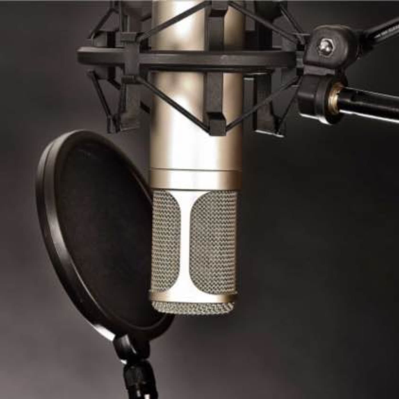 聲聲入耳 - Podcasts