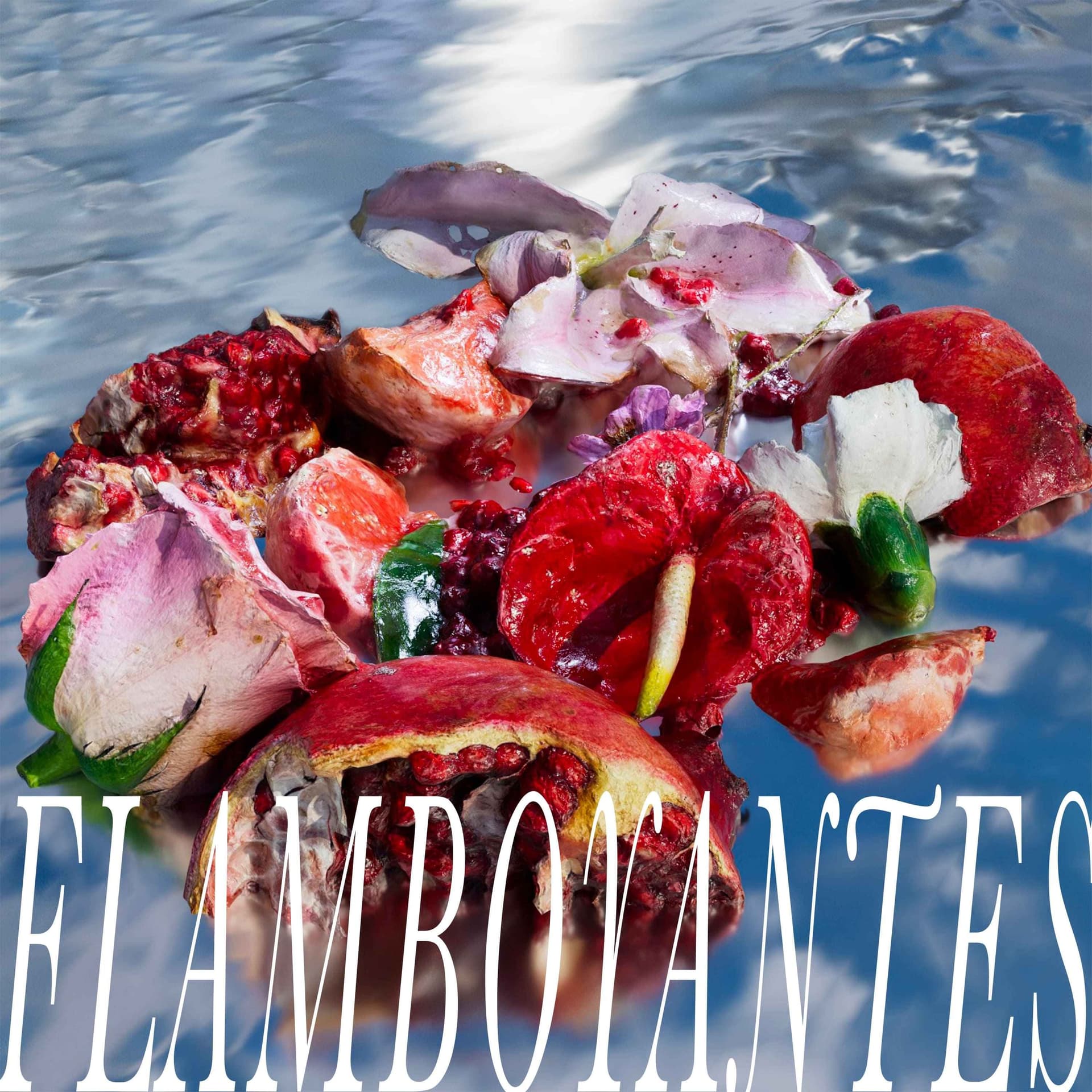 Flamboyantes - Podcasts