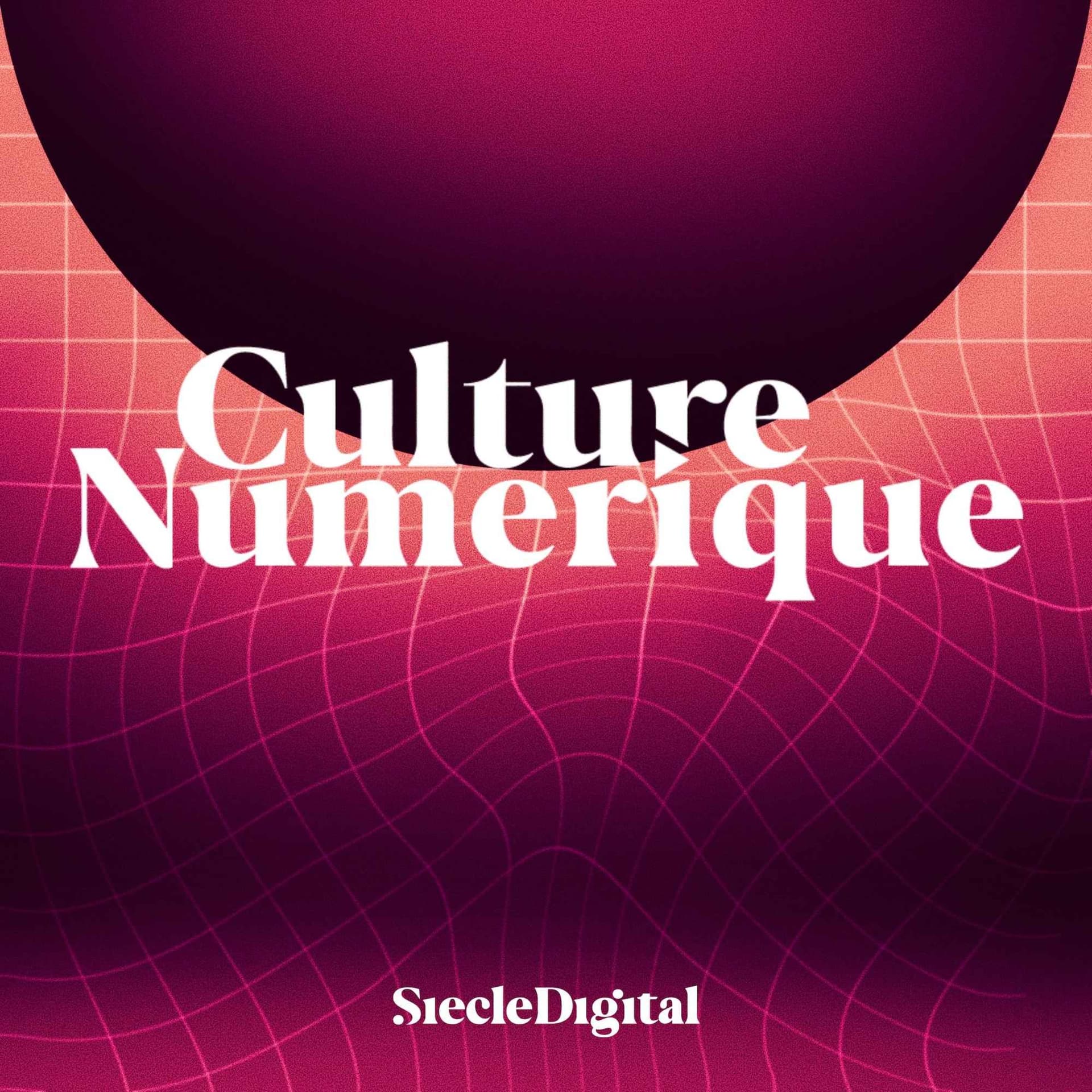 Culture Numérique - Podcasts