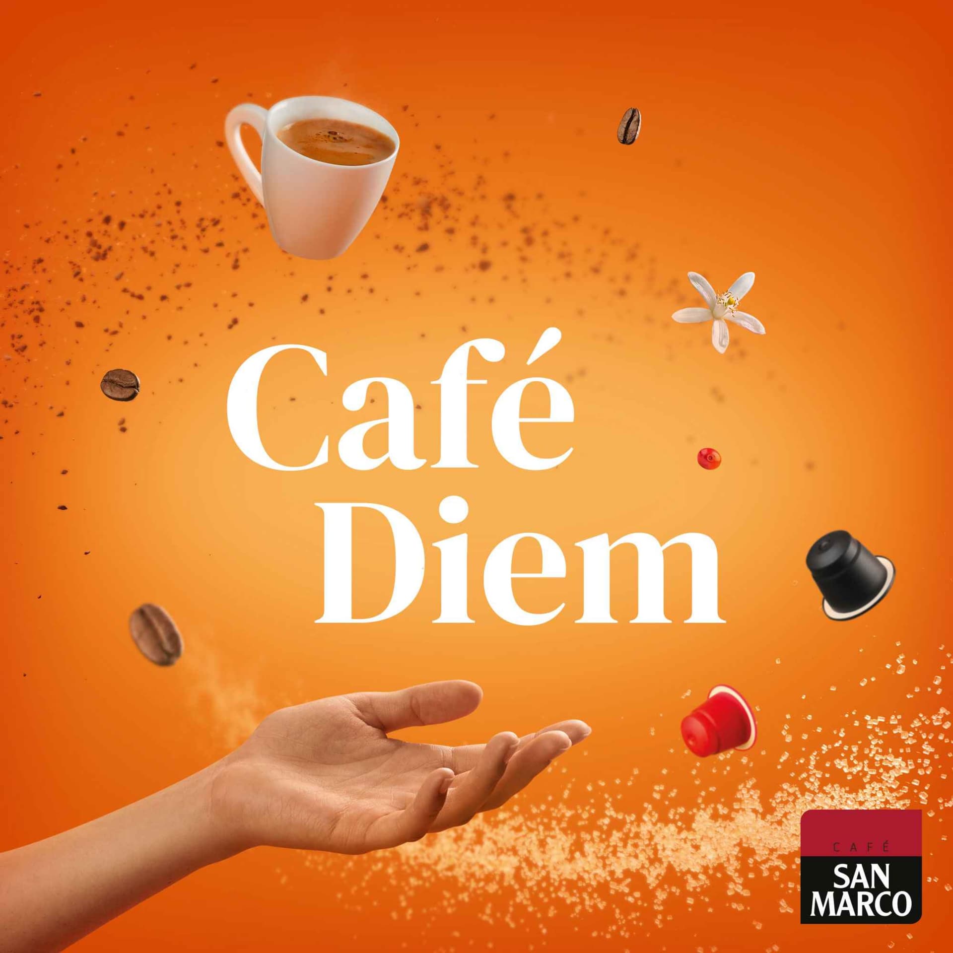 Café Diem - Podcasts