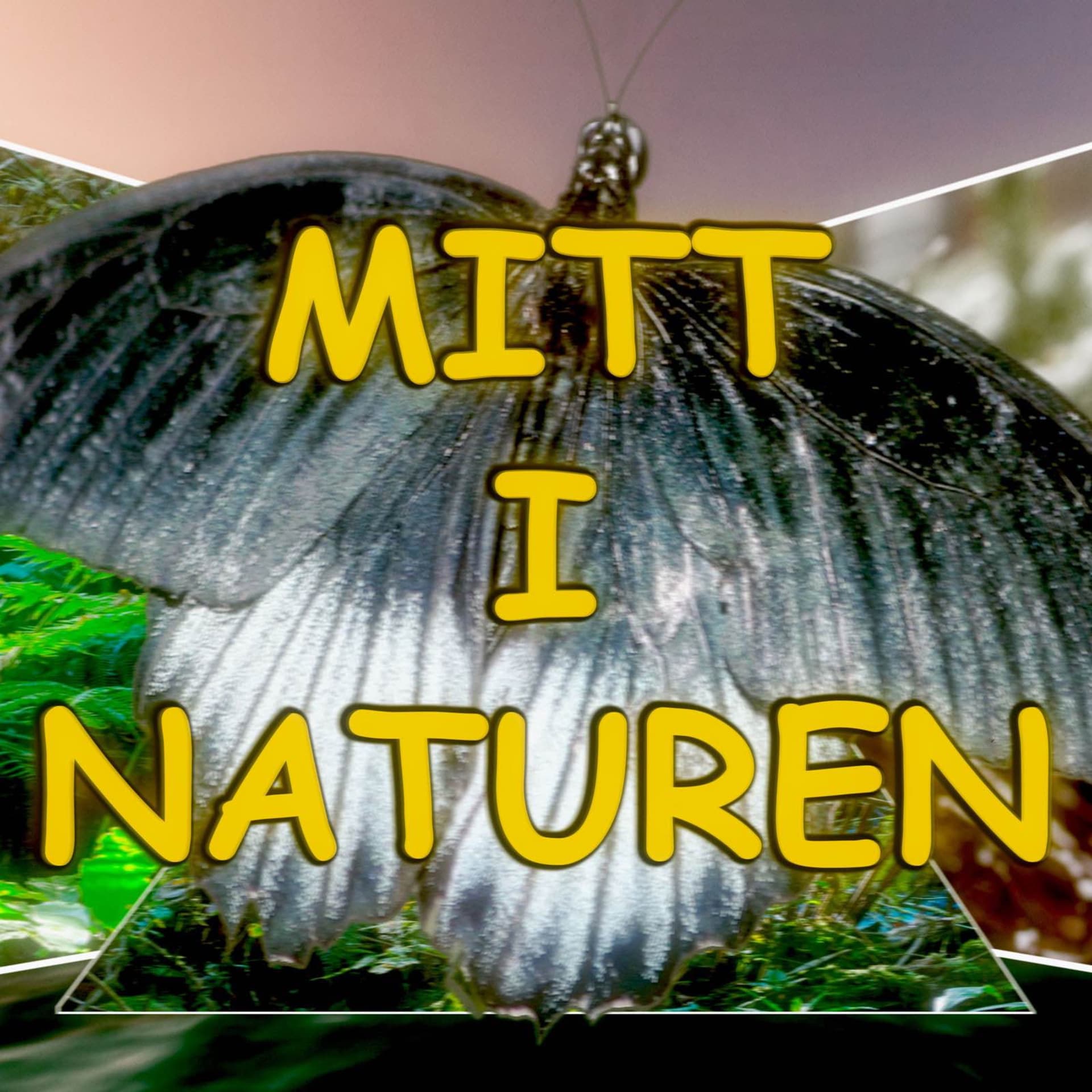 MITT I NATUREN - Podcasts