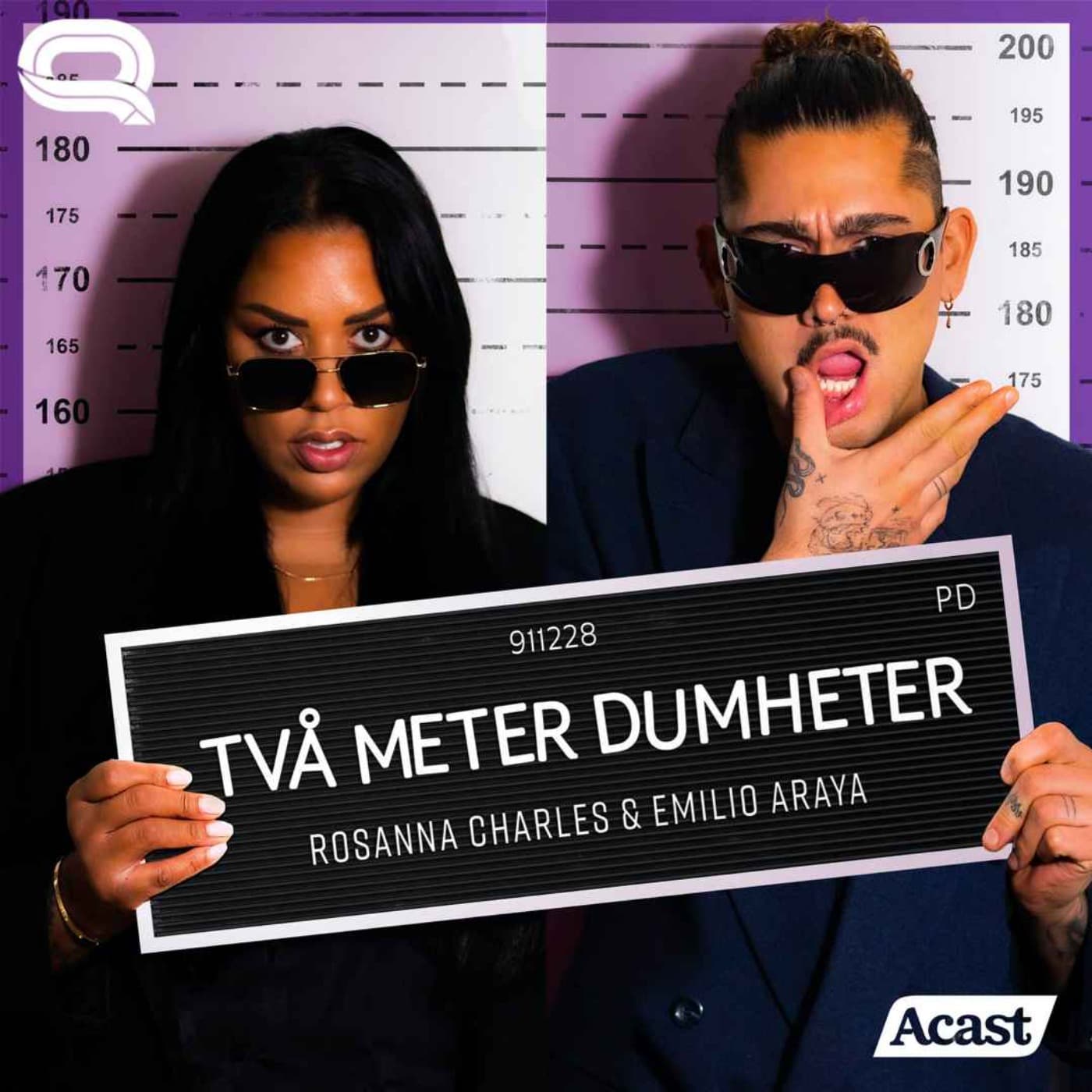 Två Meter Dumheter - Podcasts