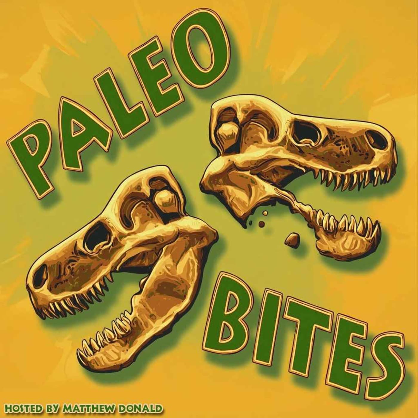 Paleo Bites - Podcasts