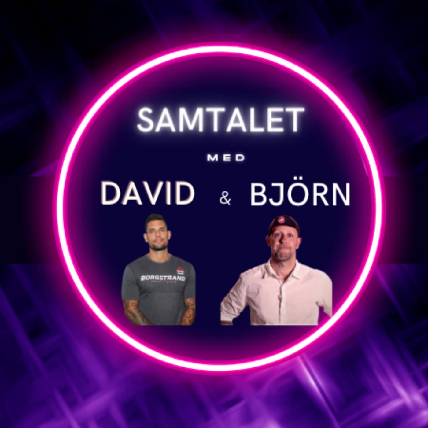 Samtalet med David & Björn - Podcasts