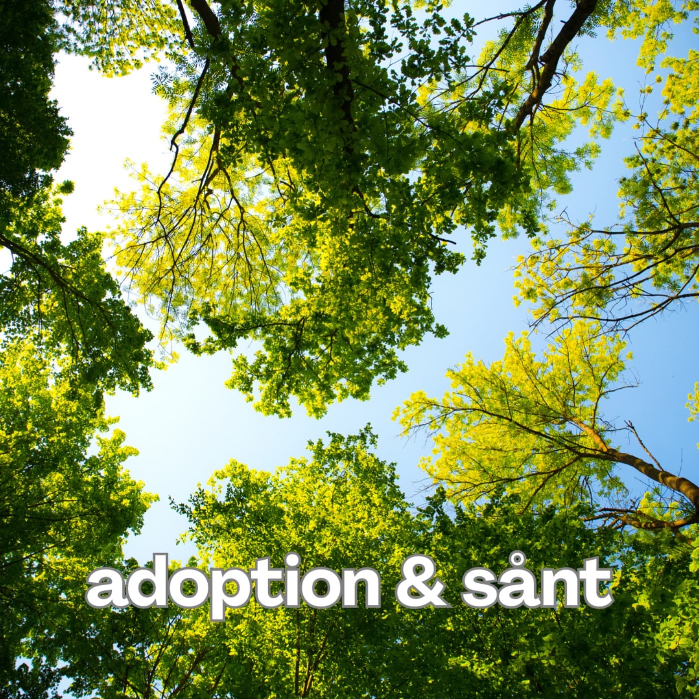 Adoption & sånt - Podcasts
