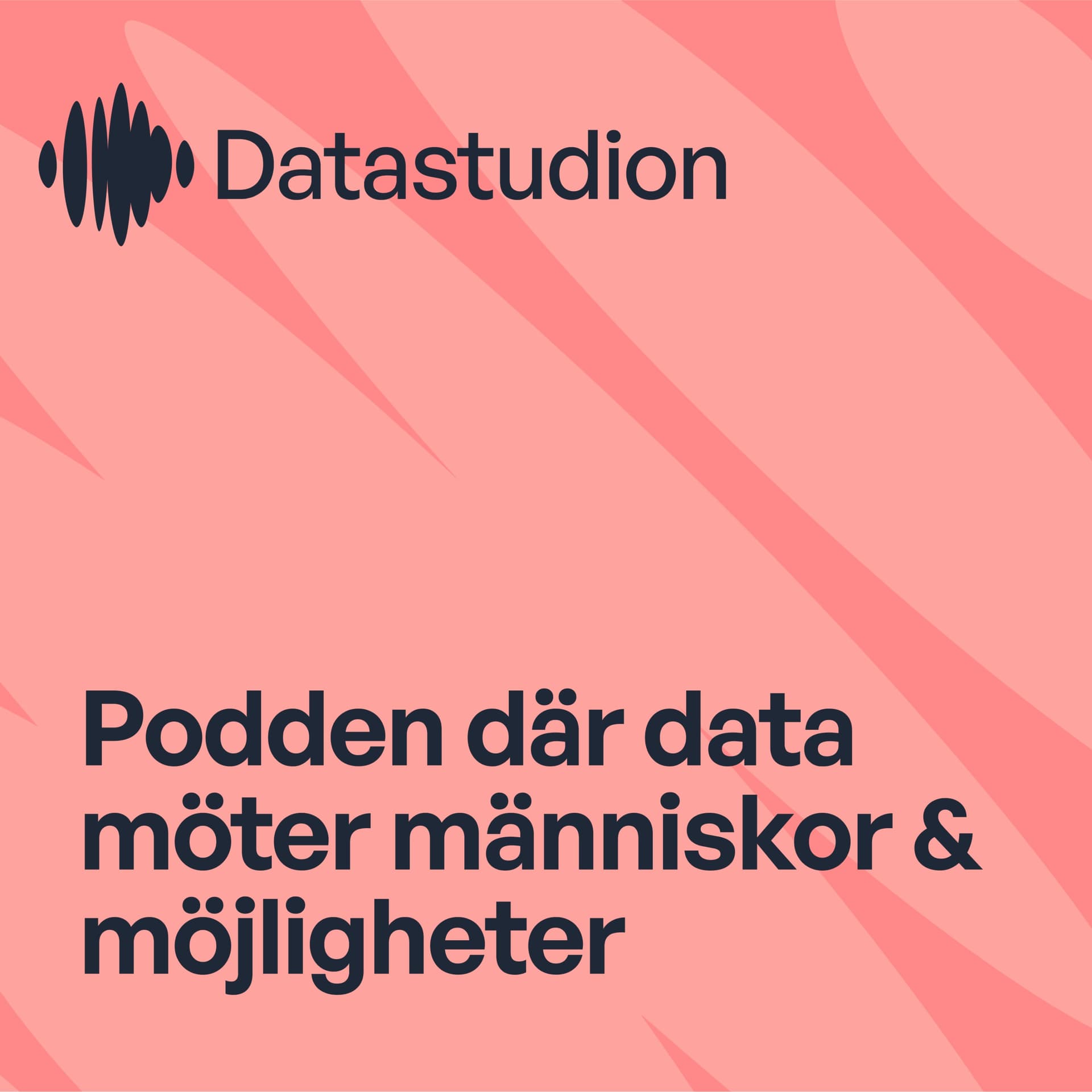 Datastudion - Podcasts