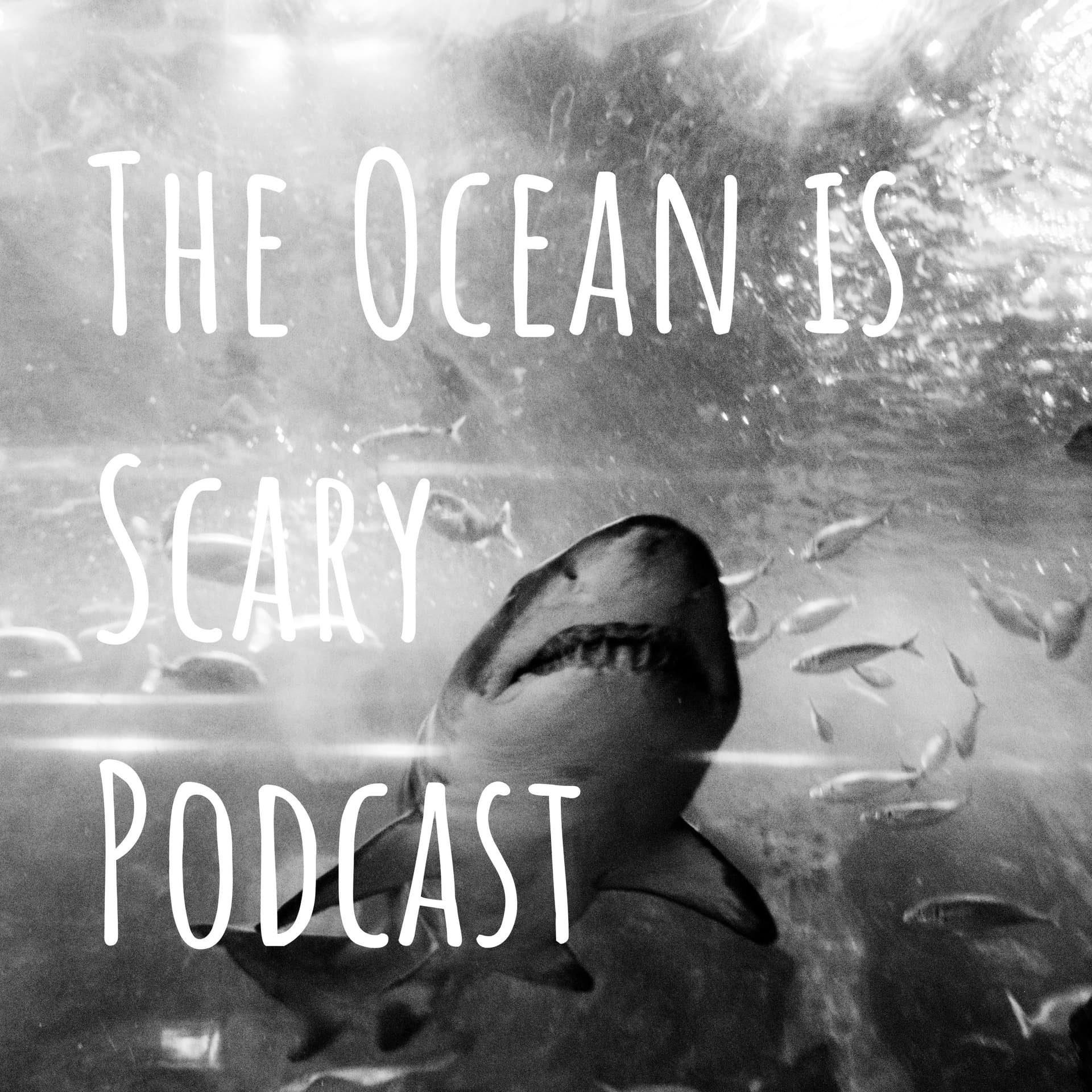 The Ocean is Scary Podcast - Podcasts
