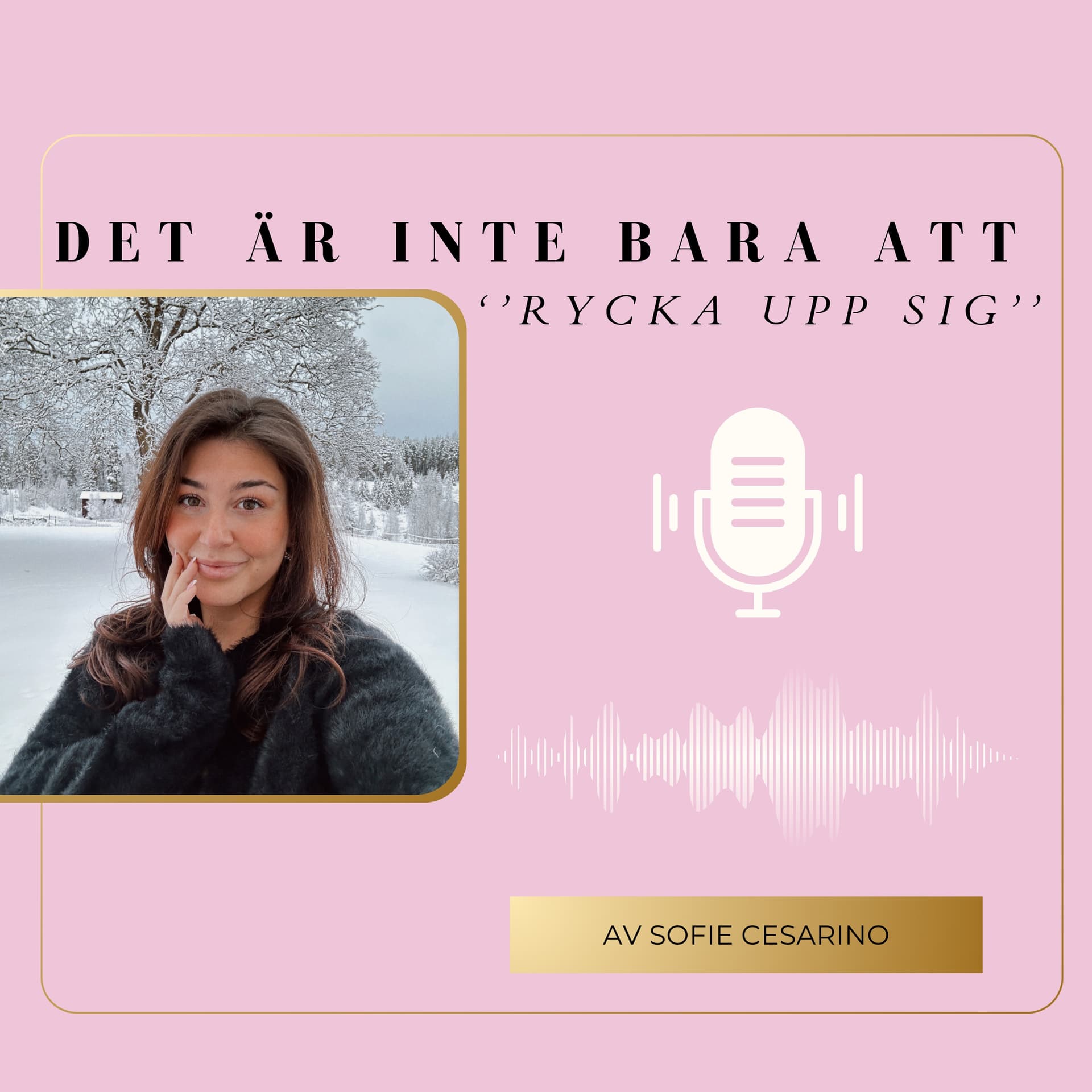 Det är inte bara att rycka upp sig - Podcasts
