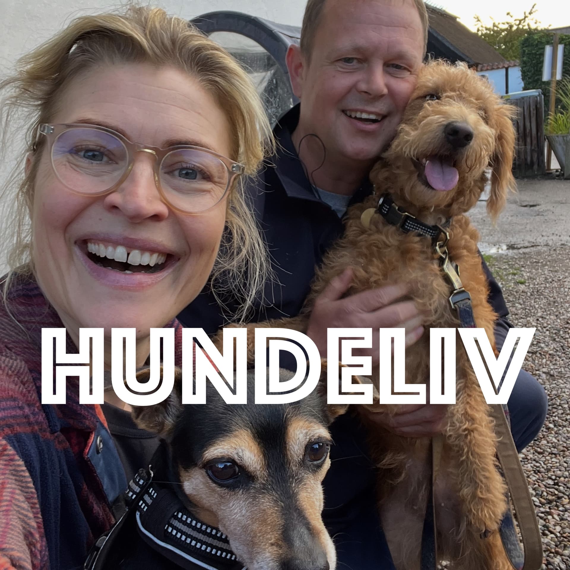 Hundeliv - Podcasts
