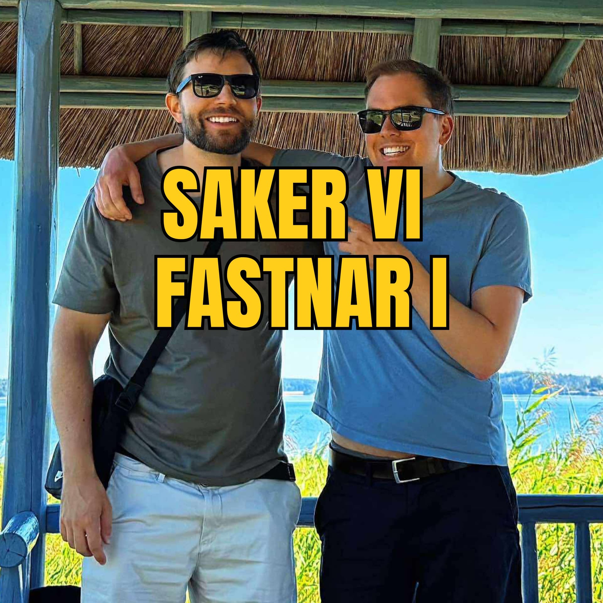 SAKER VI FASTNAR I - Podcasts