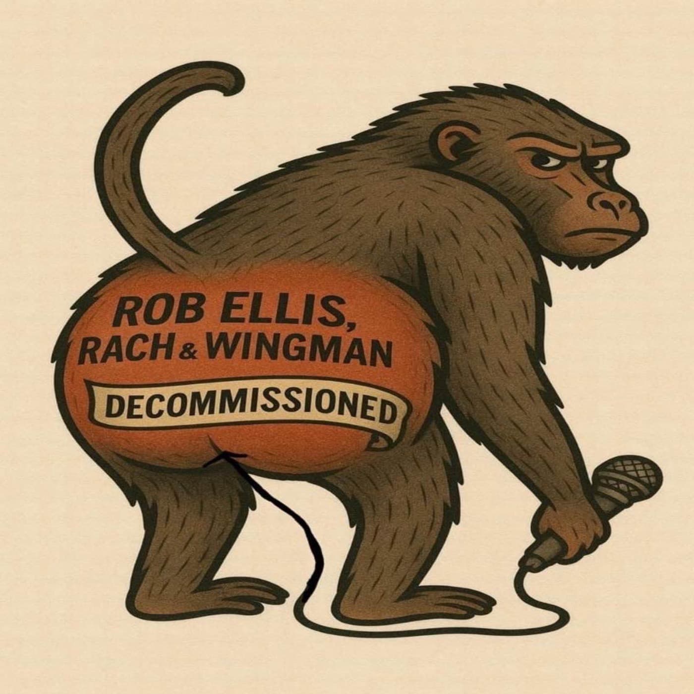 Decommissioned with Rob Ellis, Rach & Wingman - Podcasts