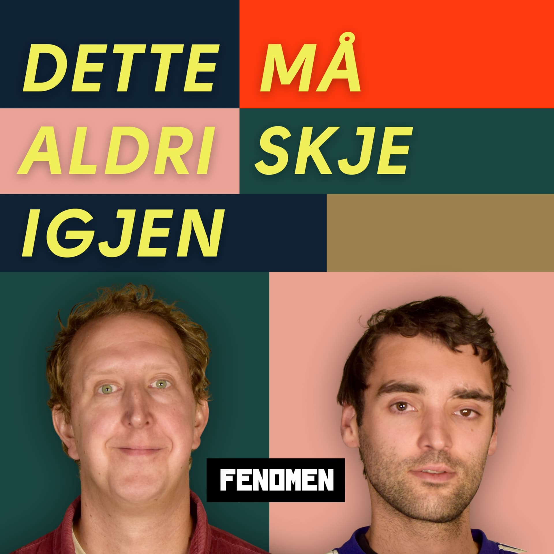 Dette må aldri skje igjen - Podcasts