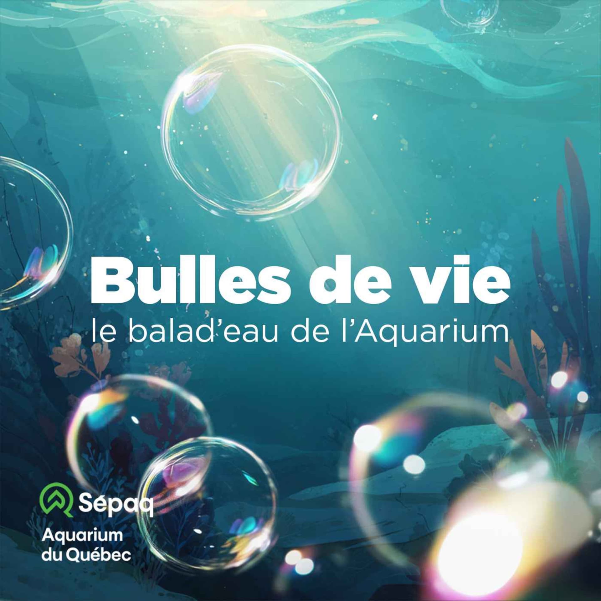 Bulles de vie : le balad'eau de l'Aquarium - Podcasts