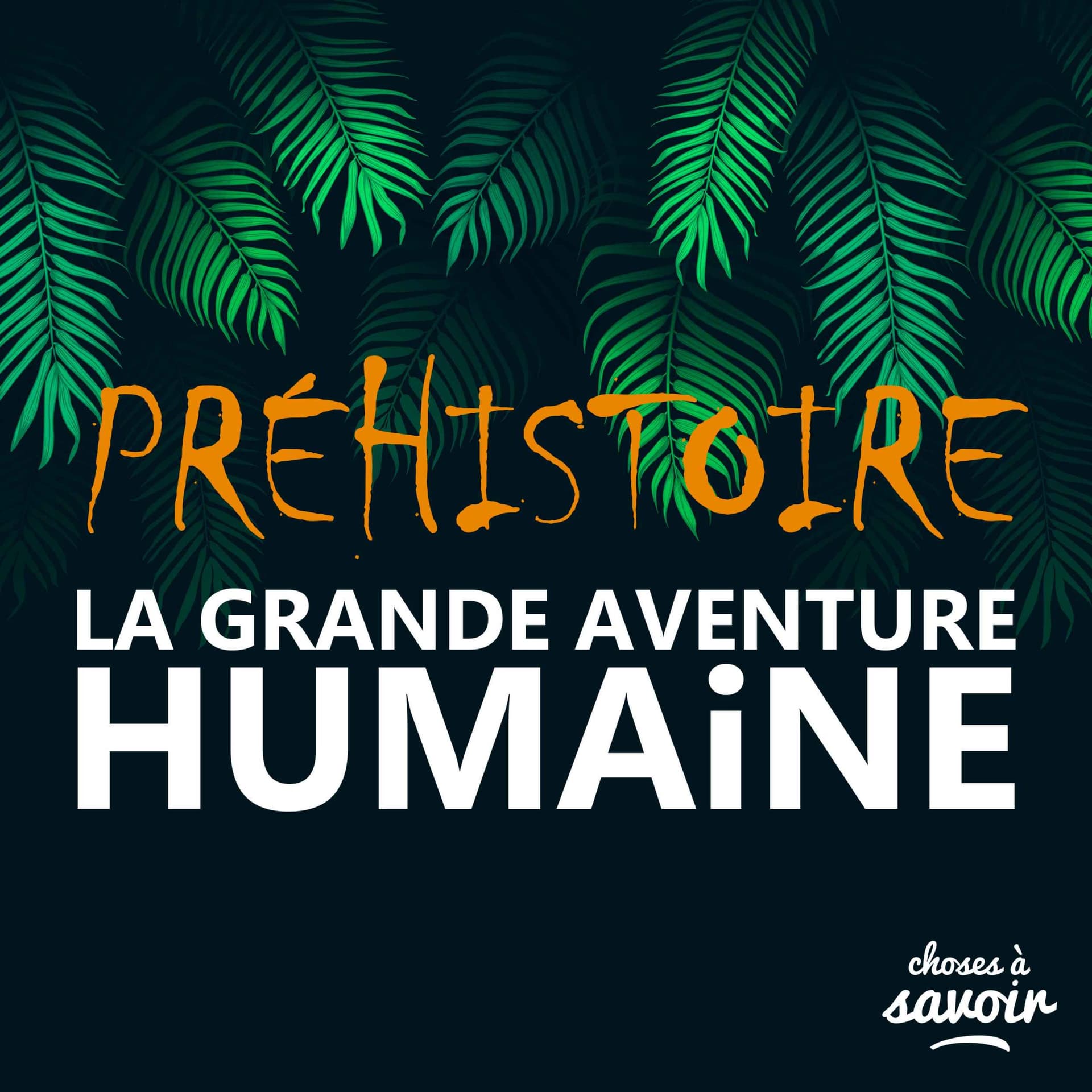 Préhistoire - La grande aventure humaine