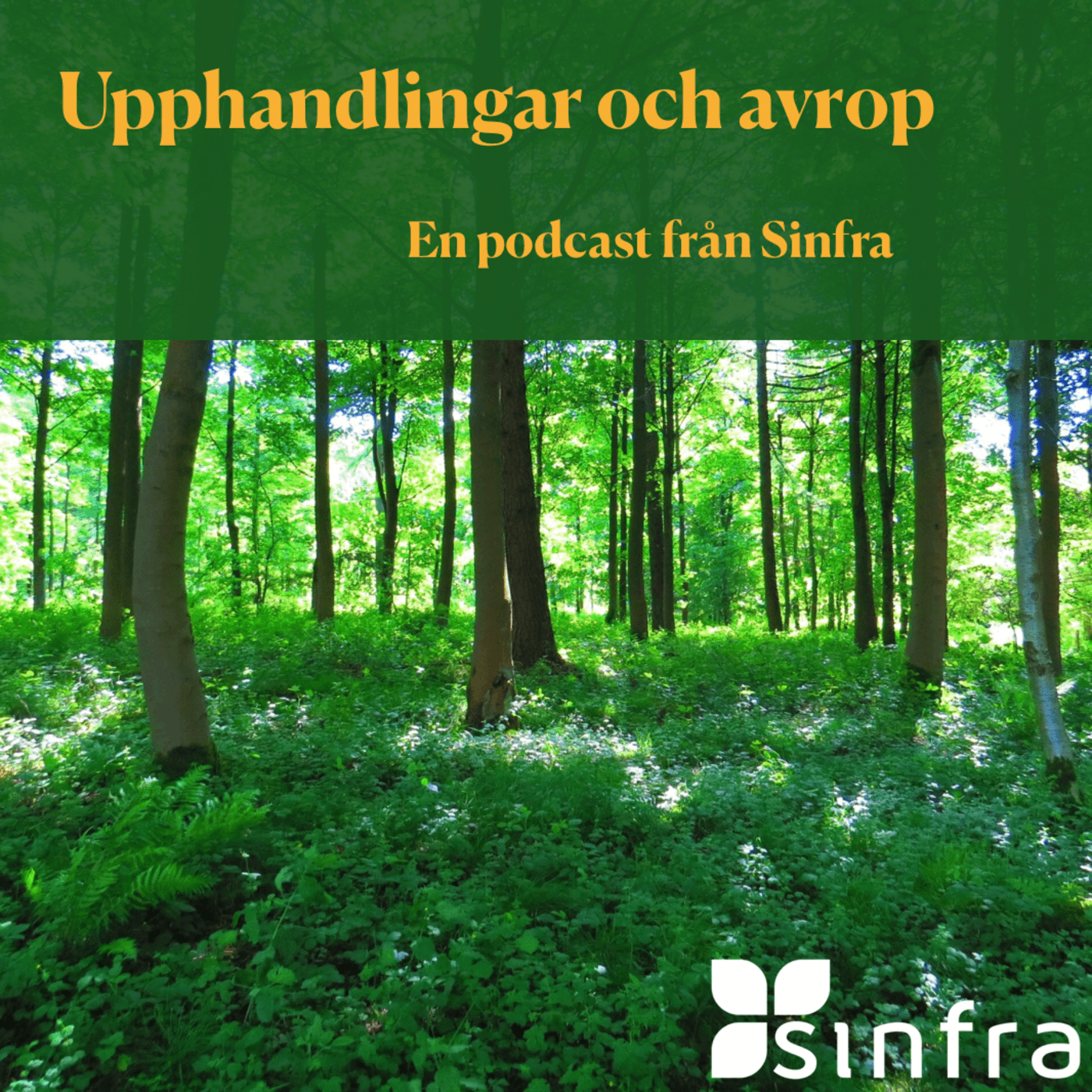Upphandlingar och avrop – en podcast från Sinfra - Podcasts
