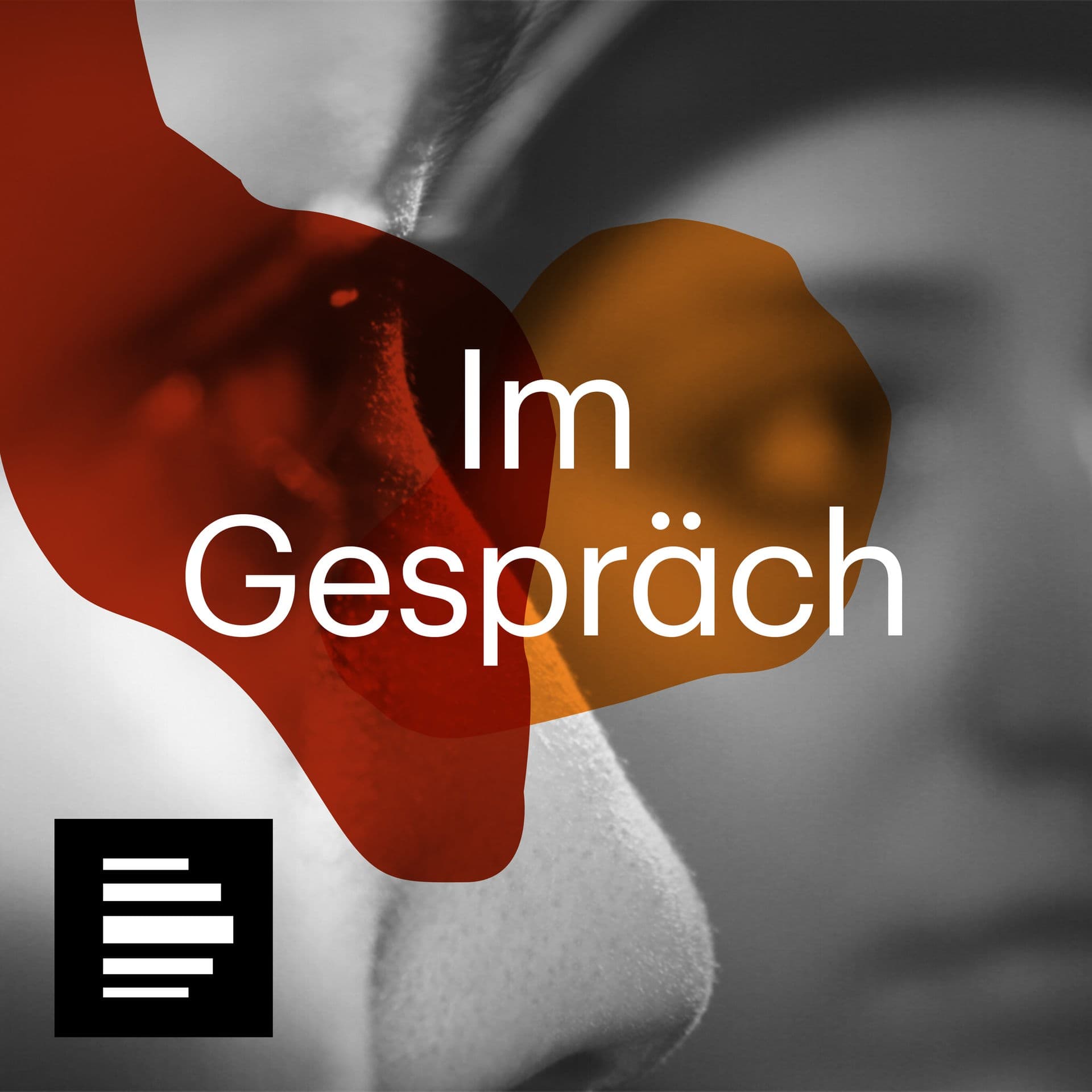Im Gespräch - Podcasts