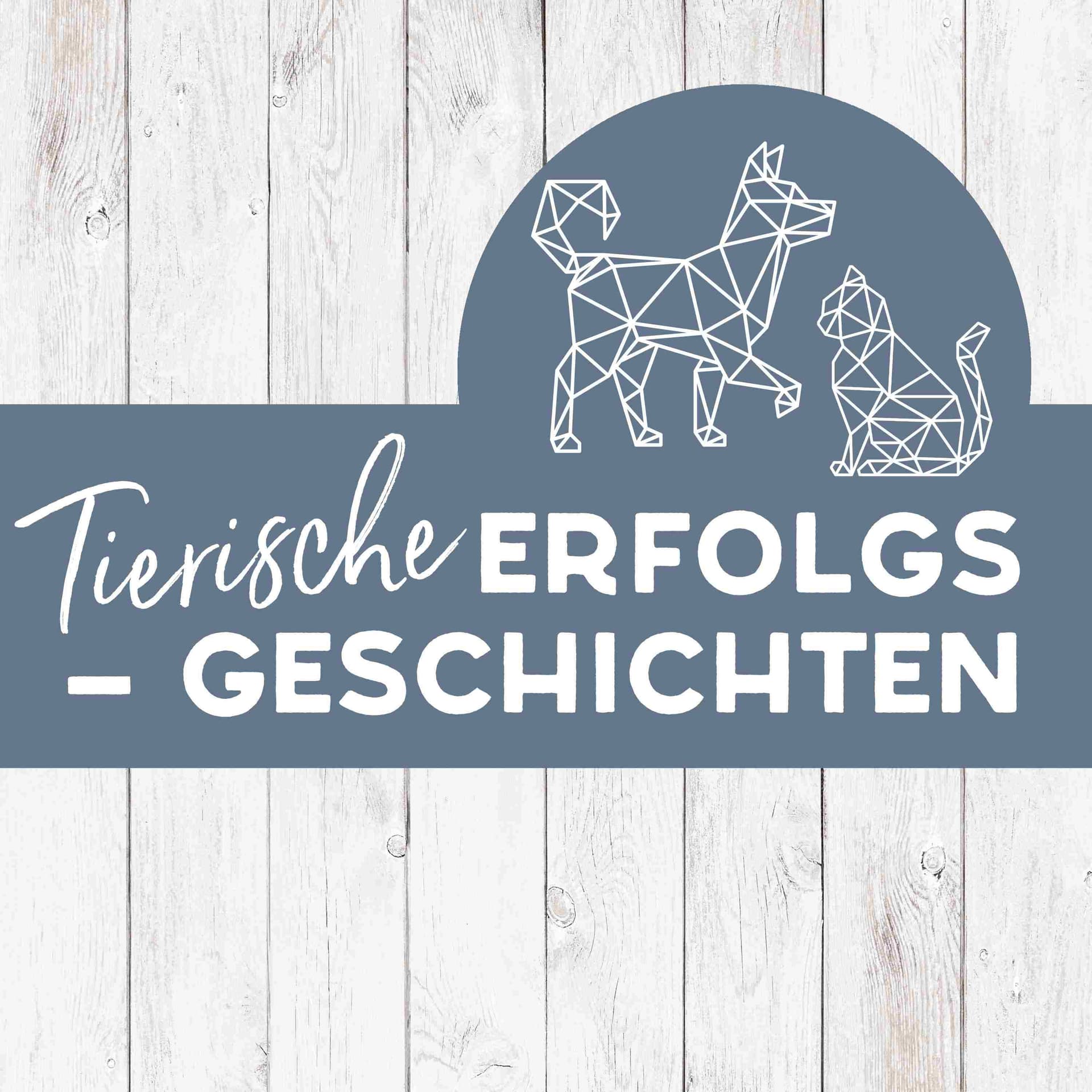 Tierische Erfolgsgeschichten - Business rund um’s Haustier - Podcasts