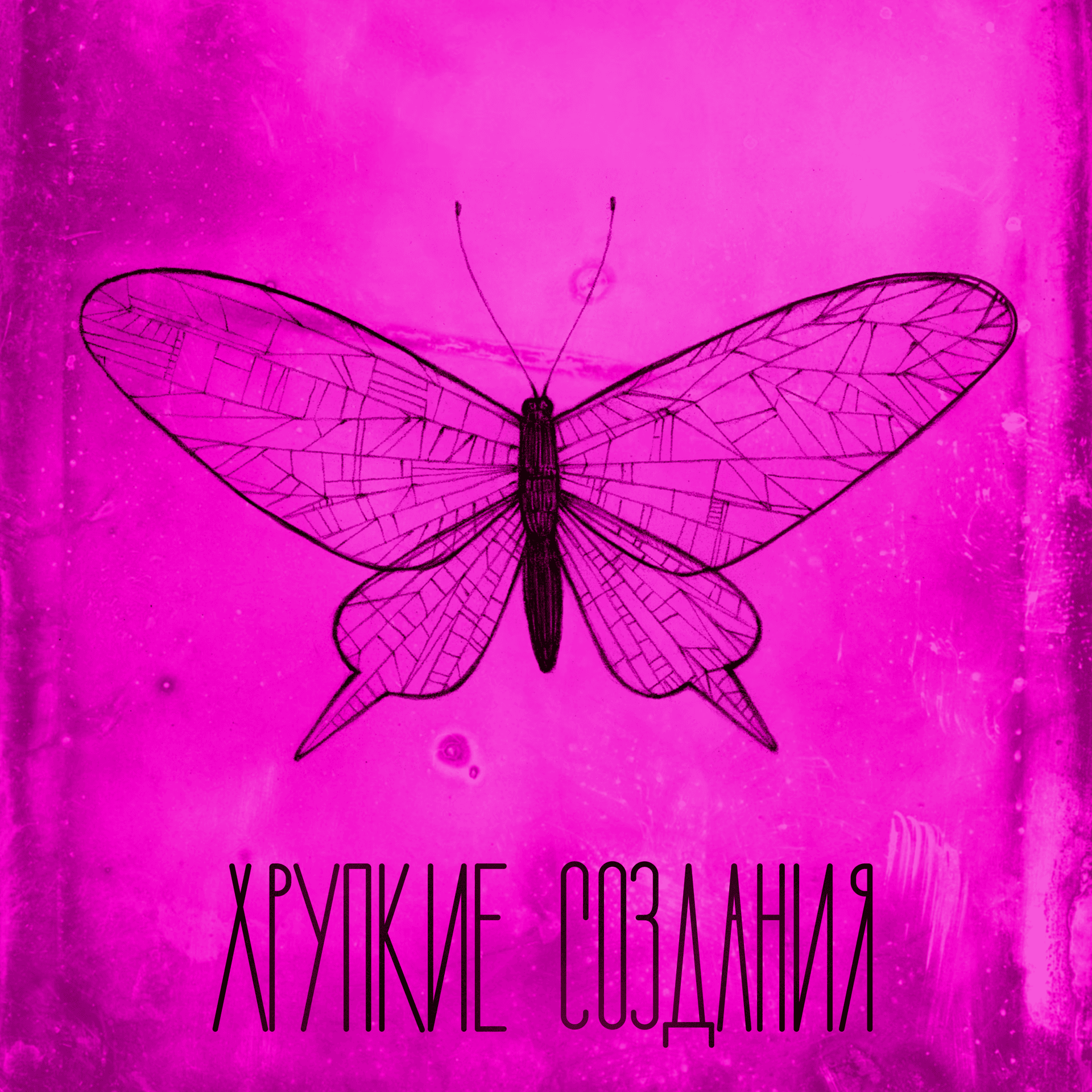 Хрупкие создания - Podcasts