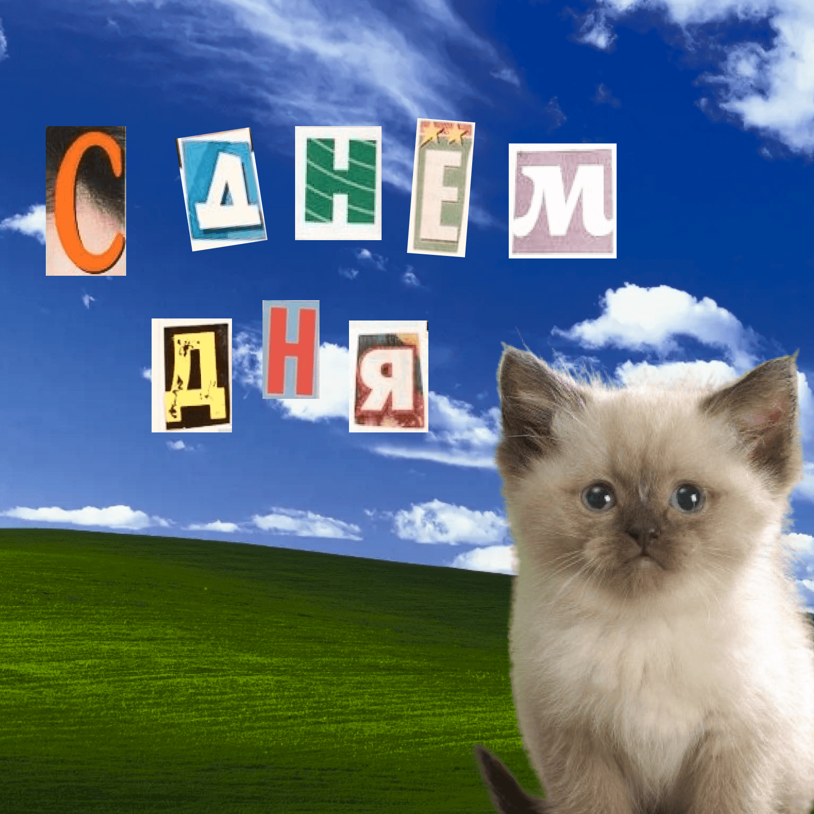 С днём дня - Podcasts