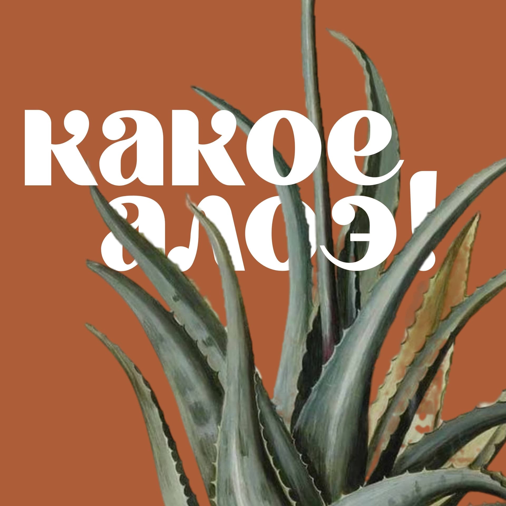 Какое алоэ! - Podcasts