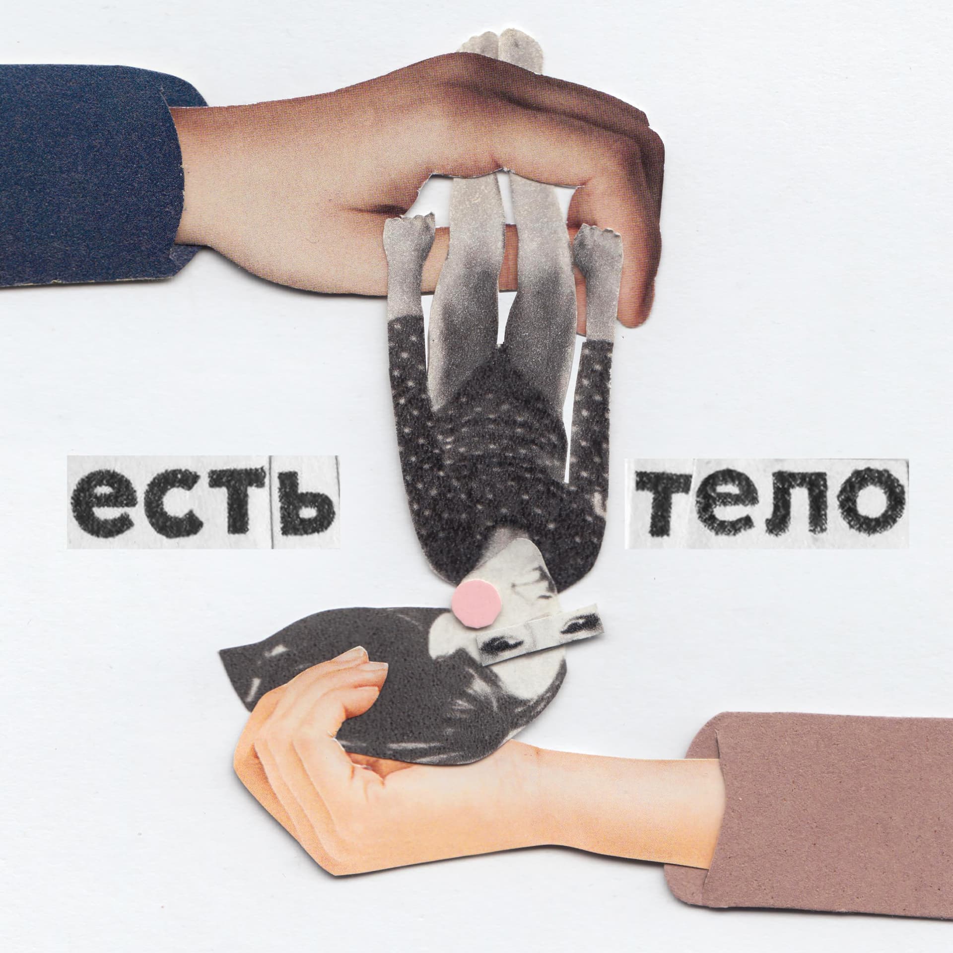 Есть Тело - Podcasts