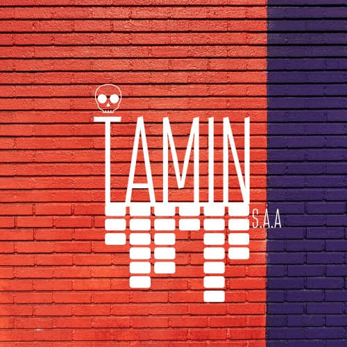 Tamin
