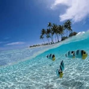 radio_dj_charly_no1 - Germany Live Radio