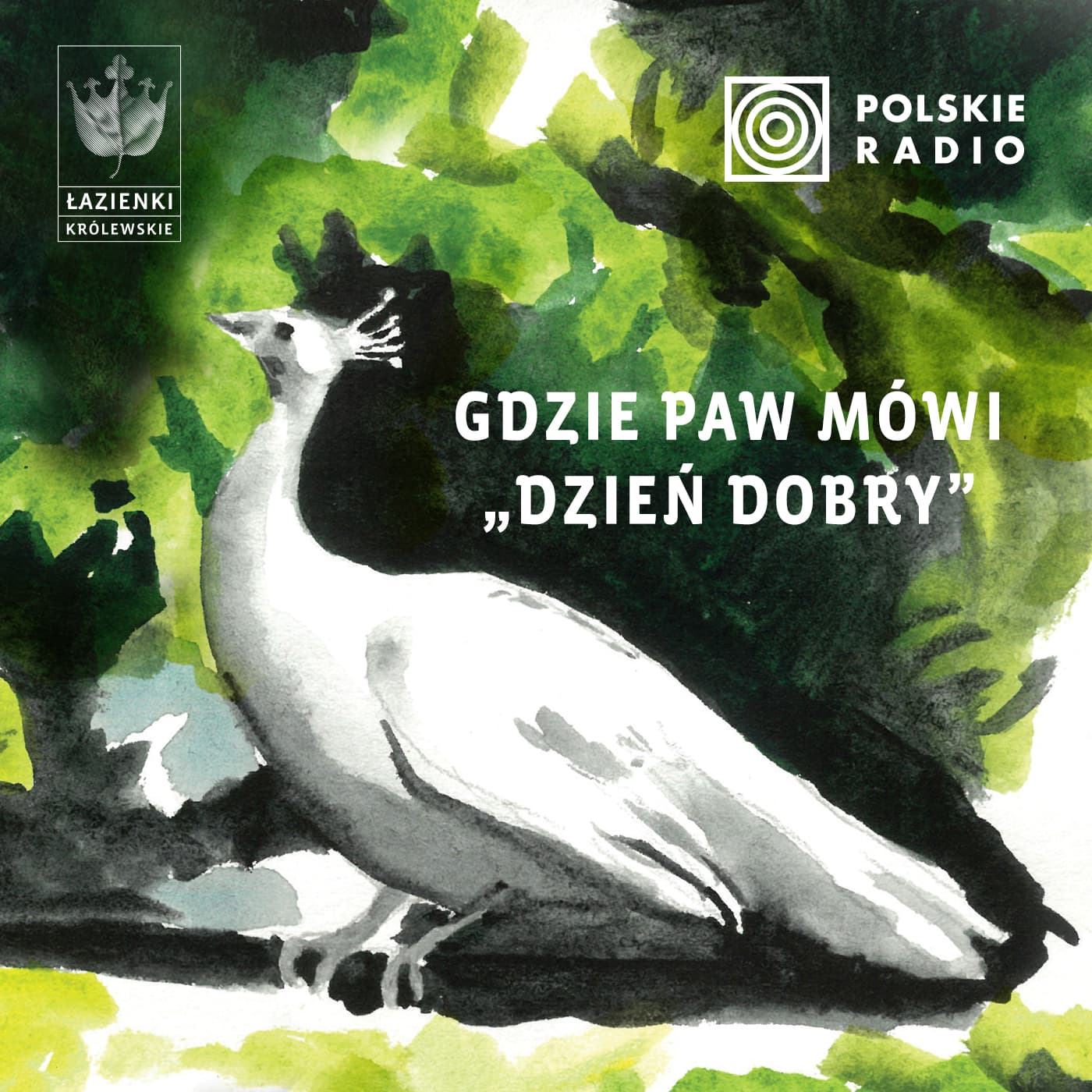 Gdzie paw mówi dzień dobry - Podcasts