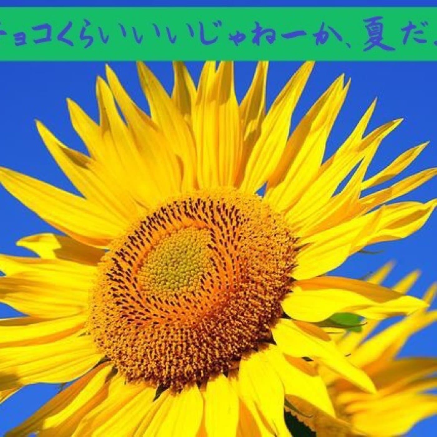 インタビューアライブ 世代を超えたフレキシブルパス