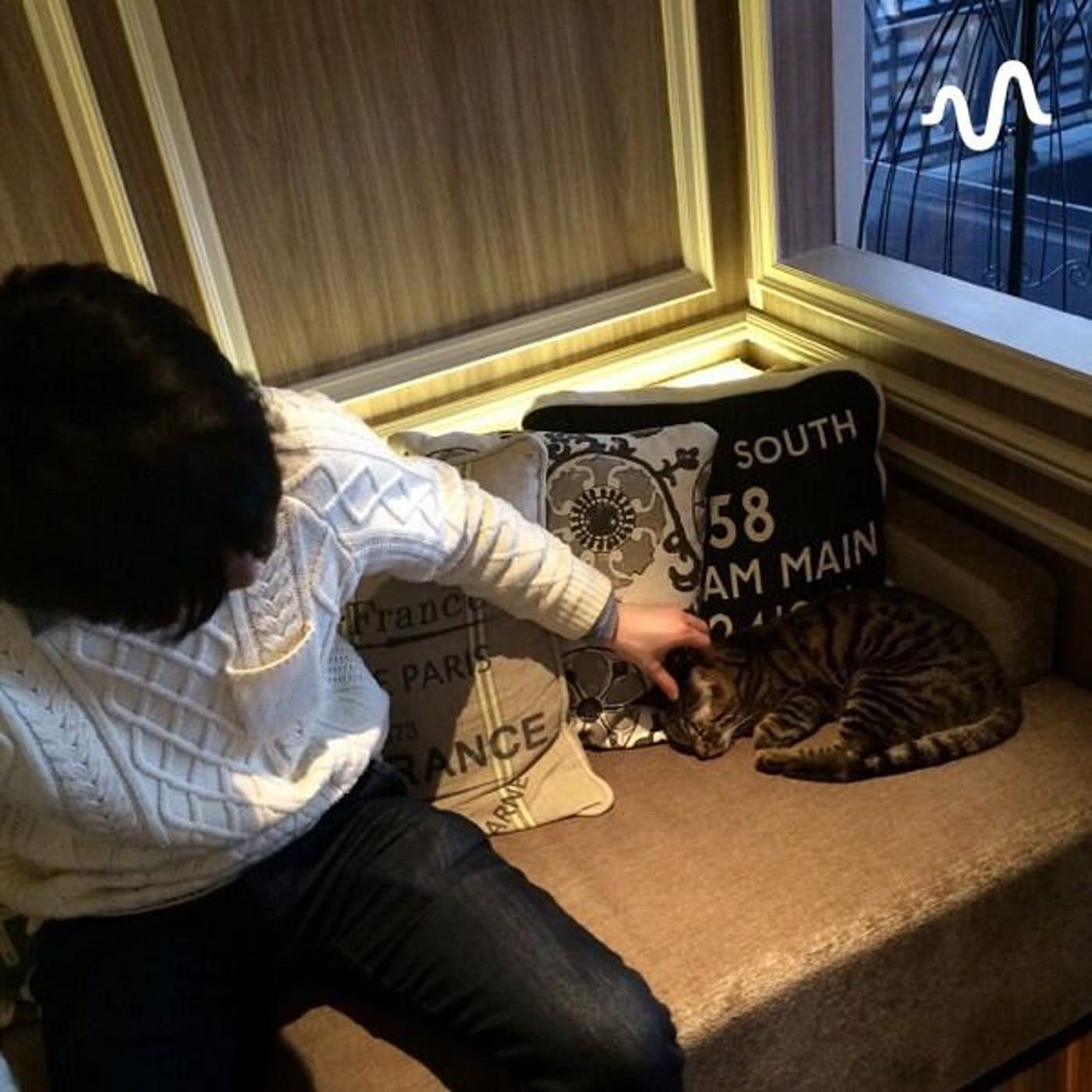 耳で学ぶお金の知識 - Podcasts