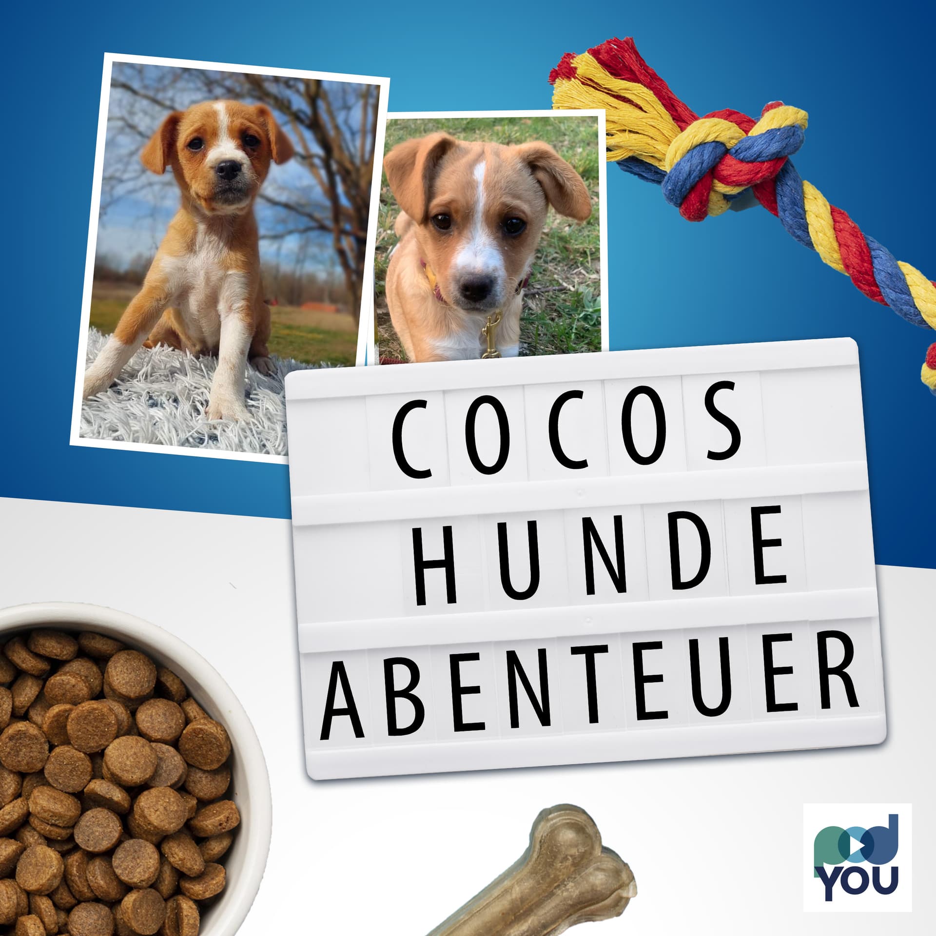 Cocos Hundeabenteuer - Podcasts
