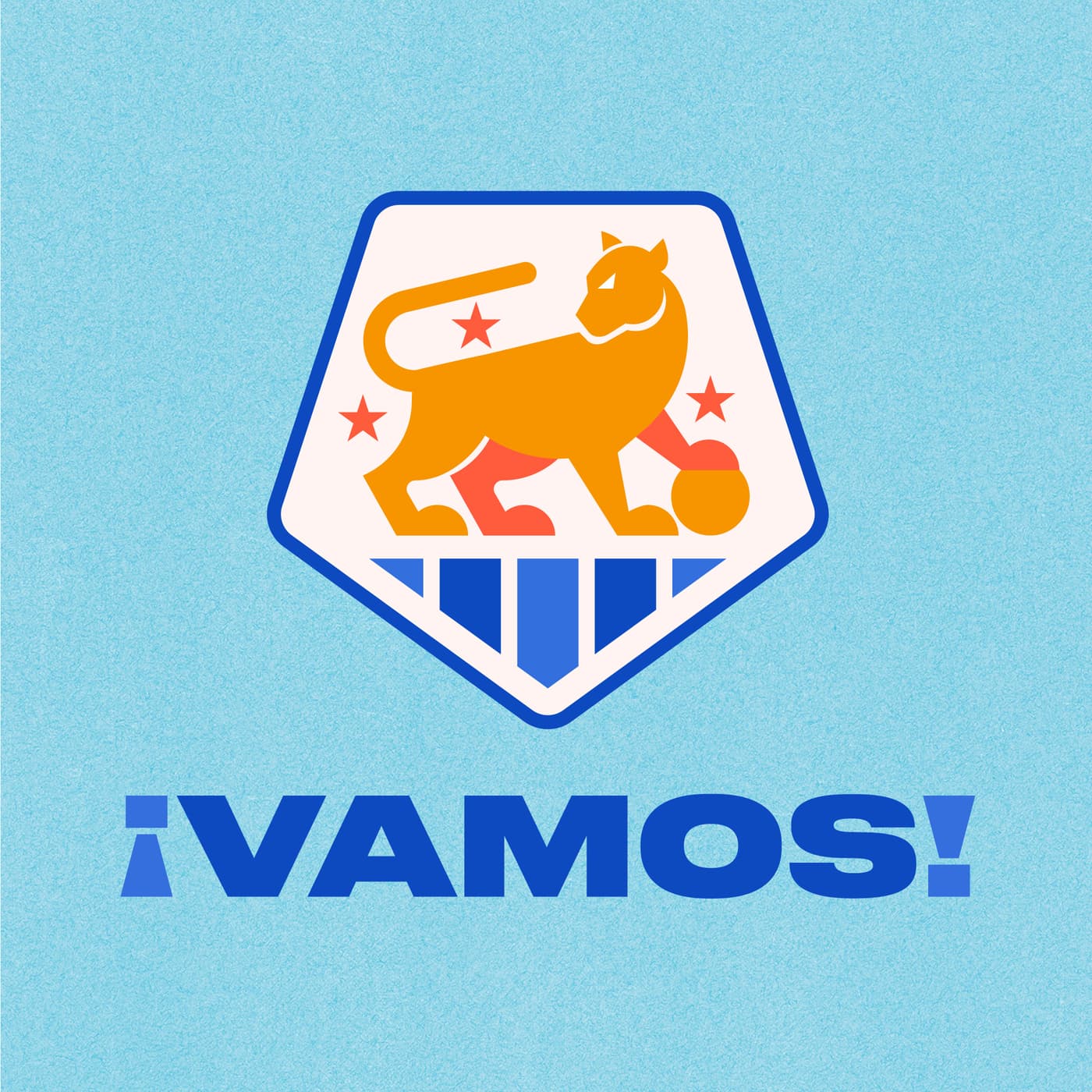 VAMOS Network
