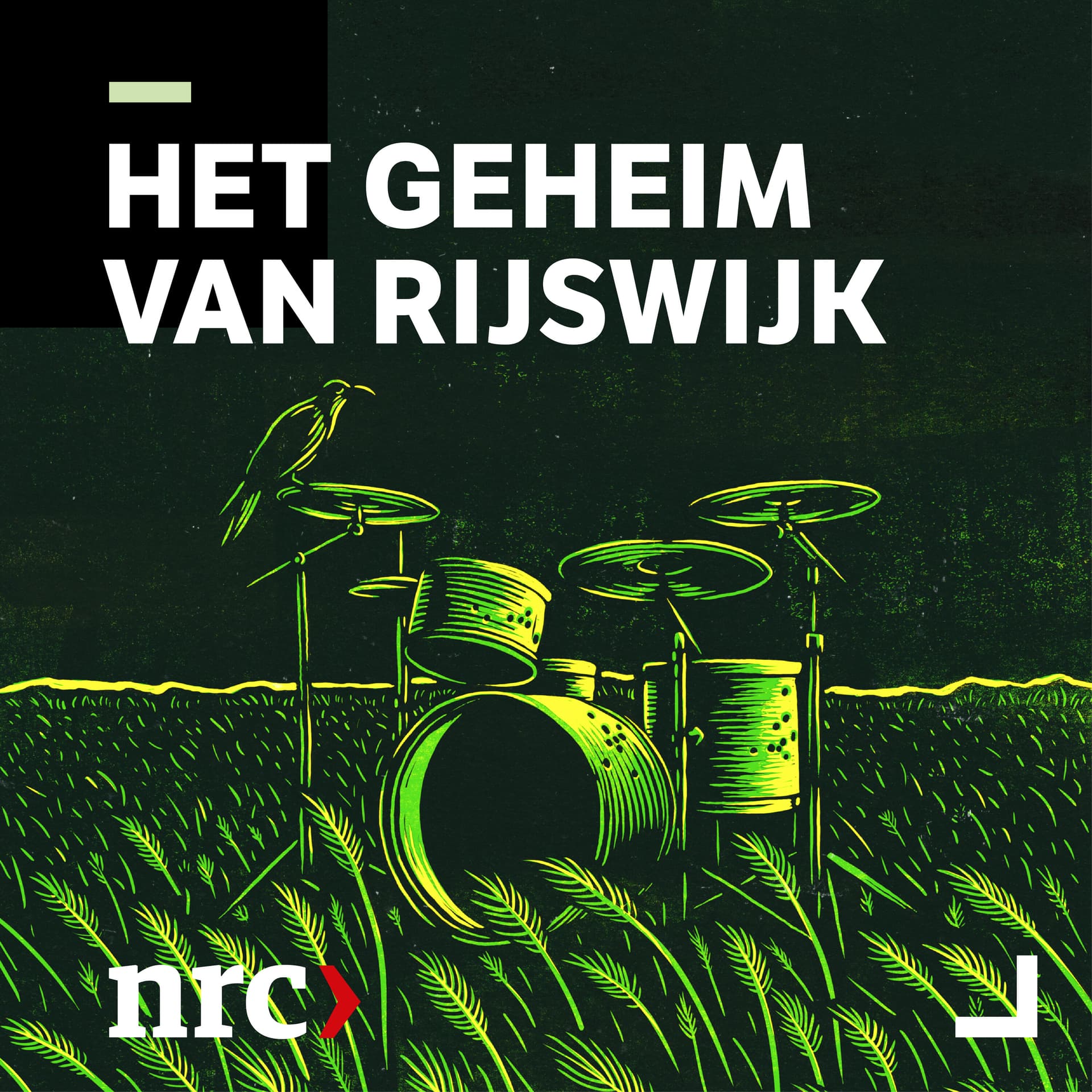 Het geheim van Rijswijk - Podcasts