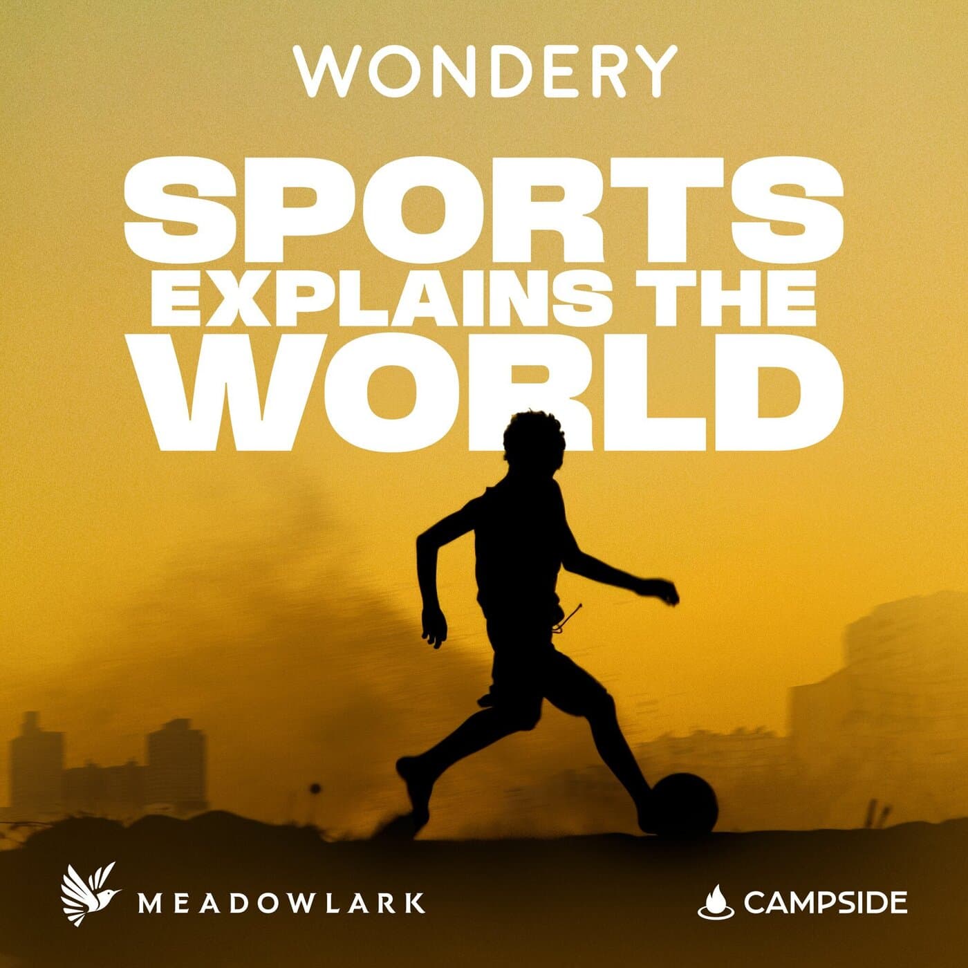 Sports Explains the World - Podcasts