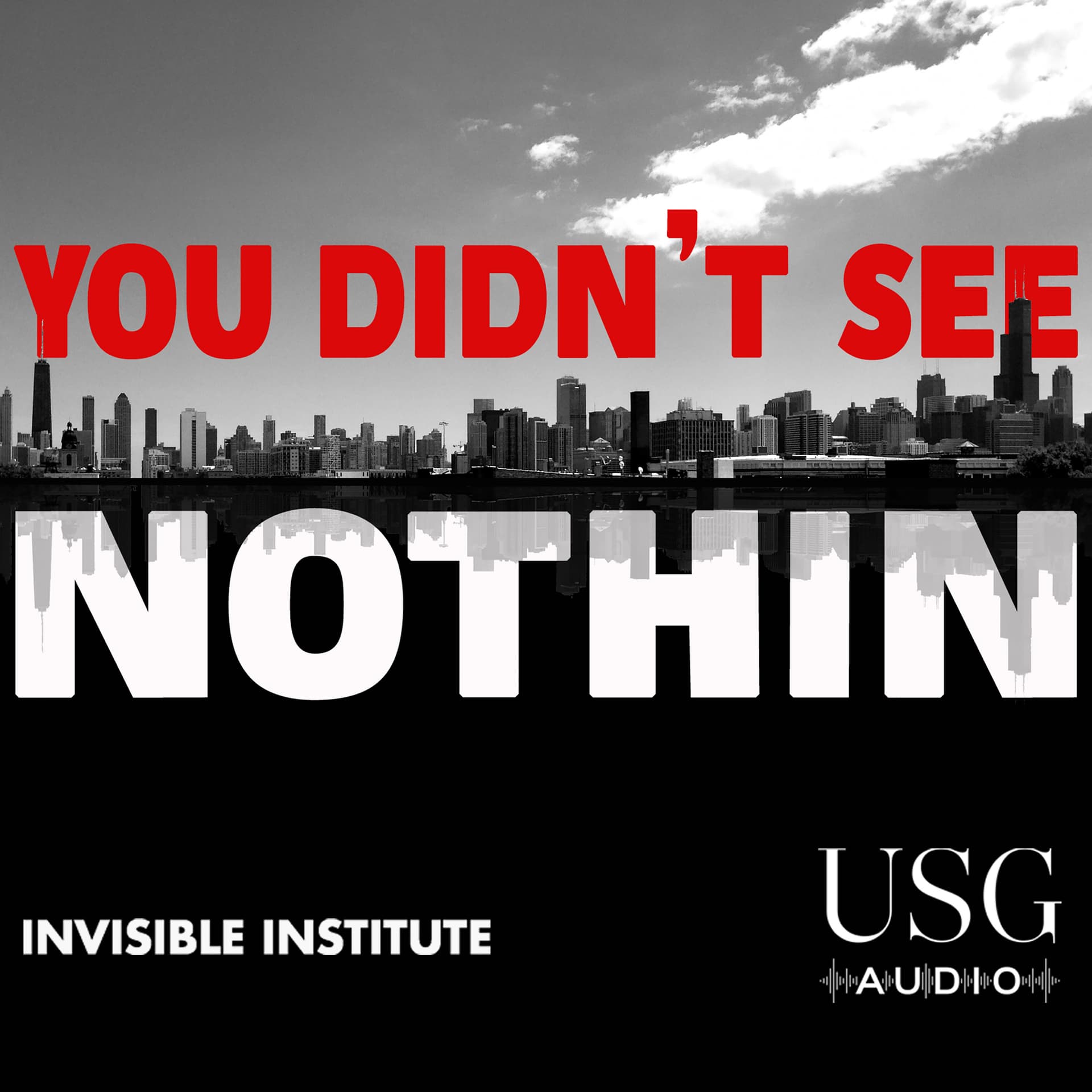 You Didn't See Nothin - Podcasts