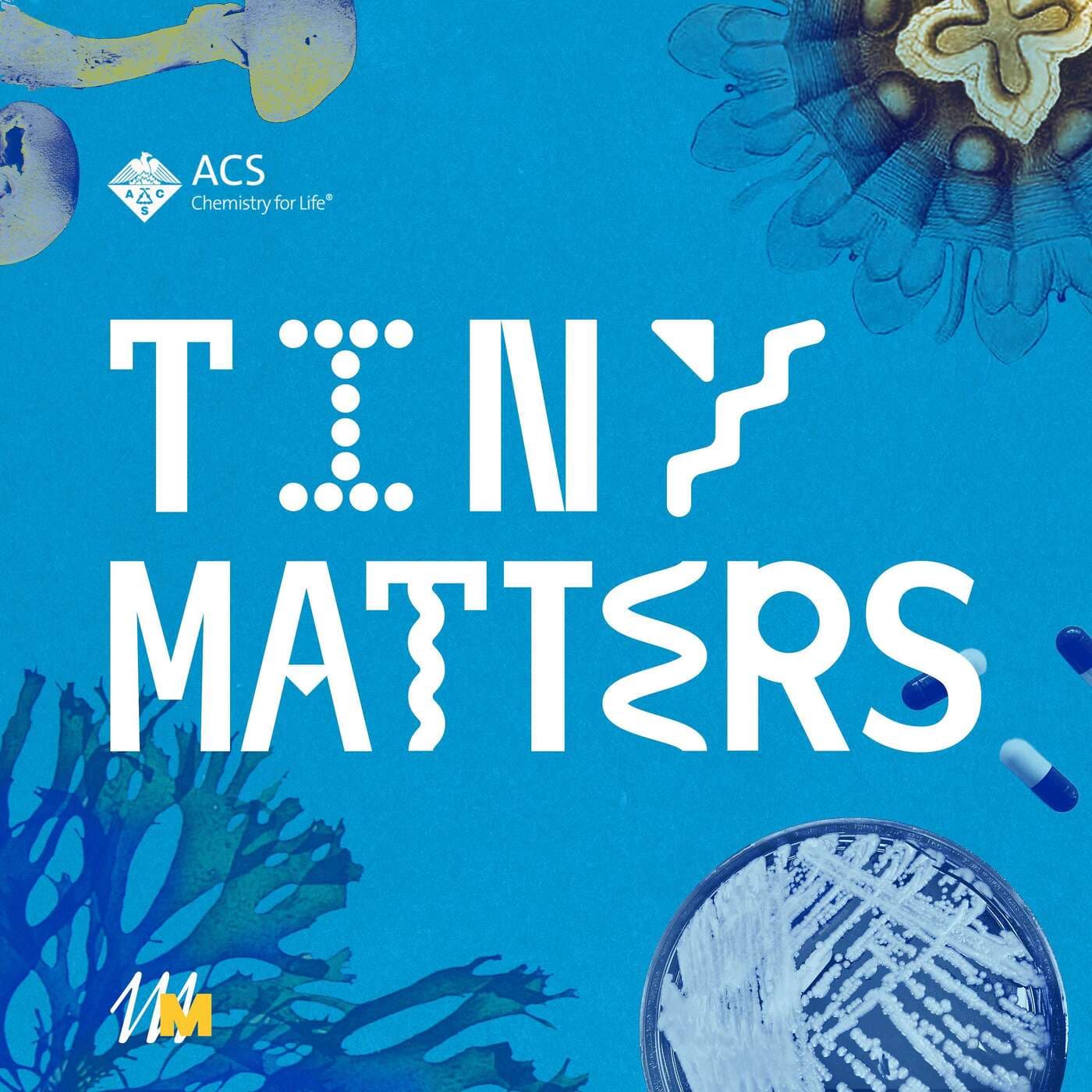 Tiny Matters - Podcasts