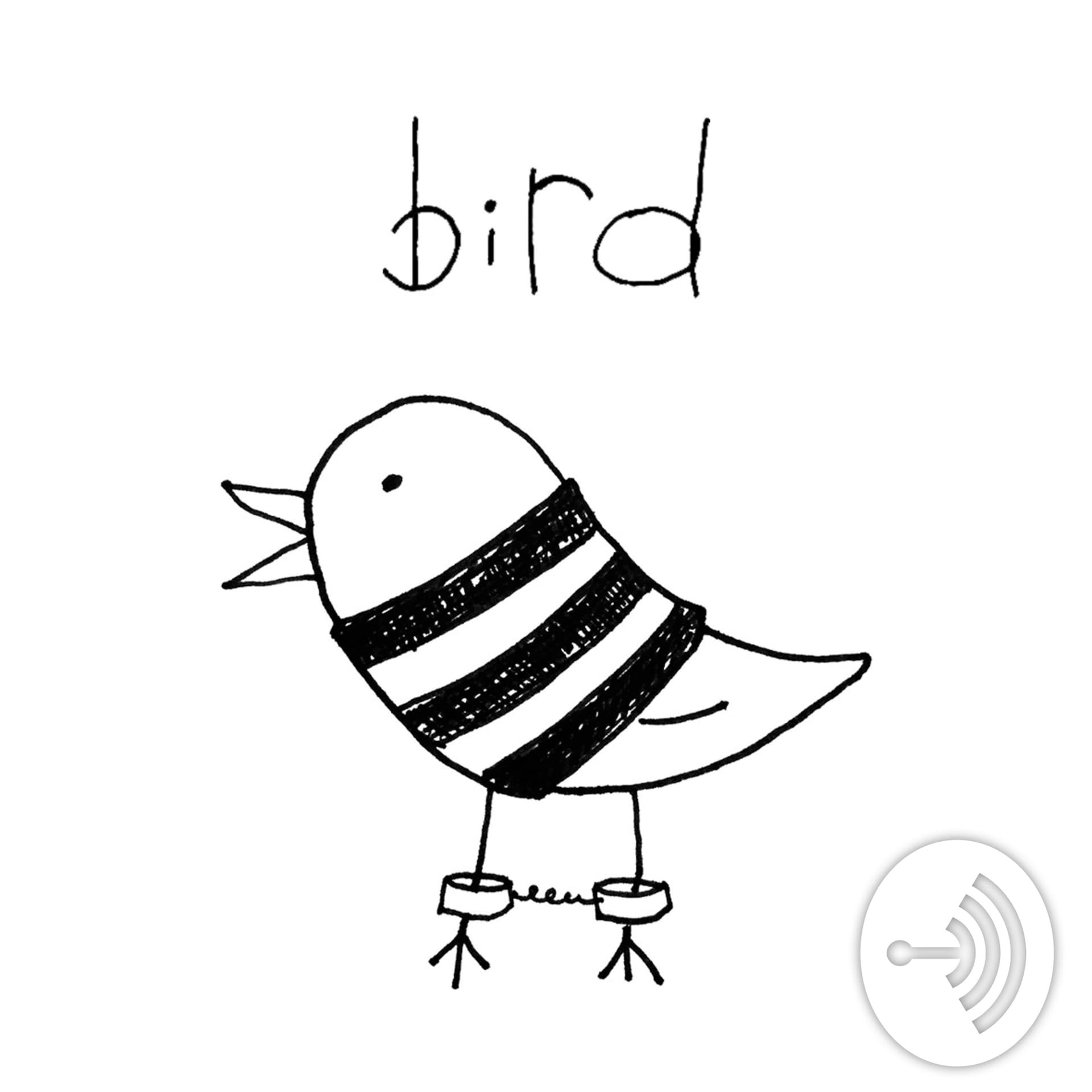 Bird Podcast | Stories from prison - Podcasts