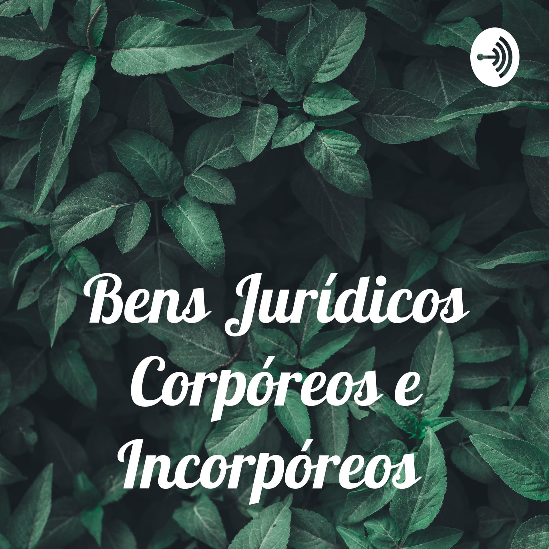 Bens Jurídicos Corpóreos e Incorpóreos - Podcasts